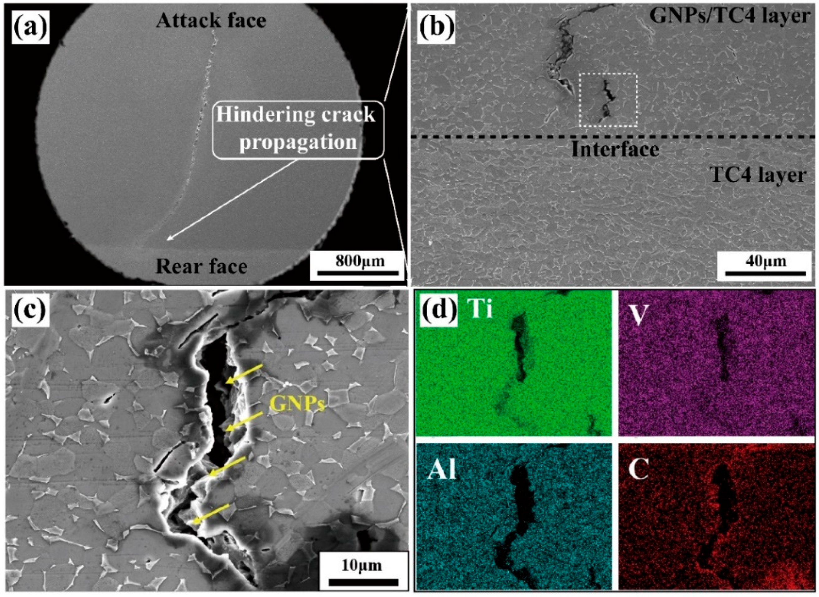 Materials 17 05589 g010