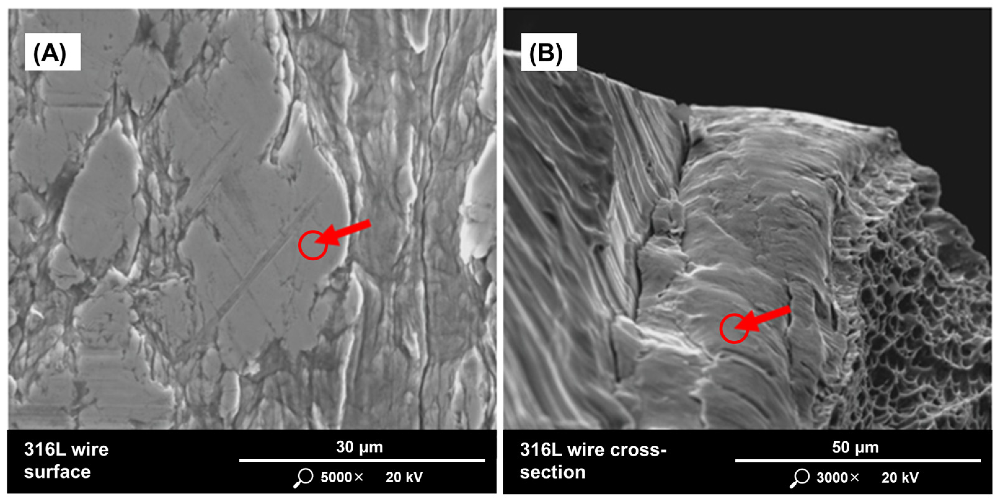 Materials 17 05642 g001