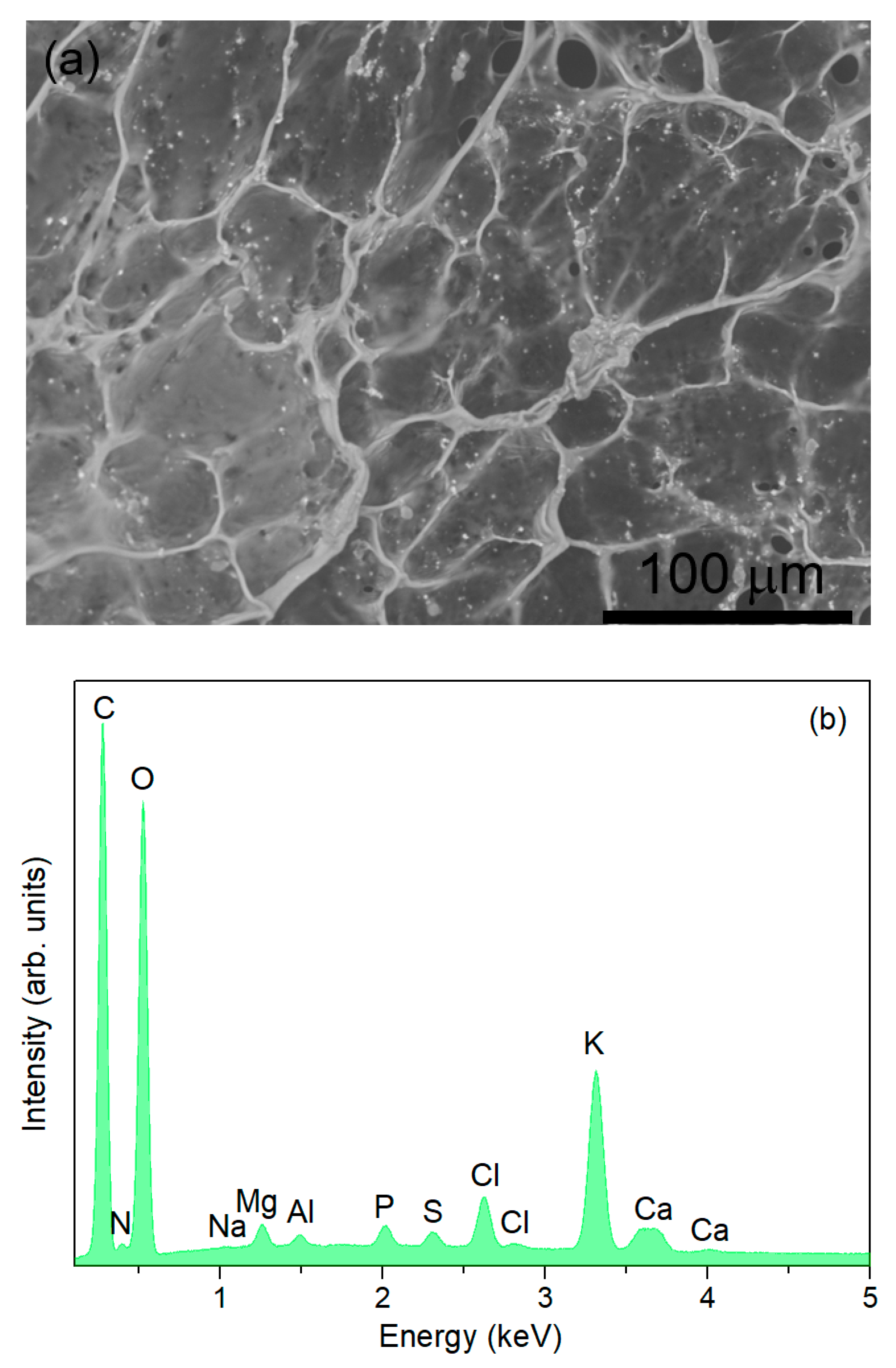 Materials 17 05709 g003