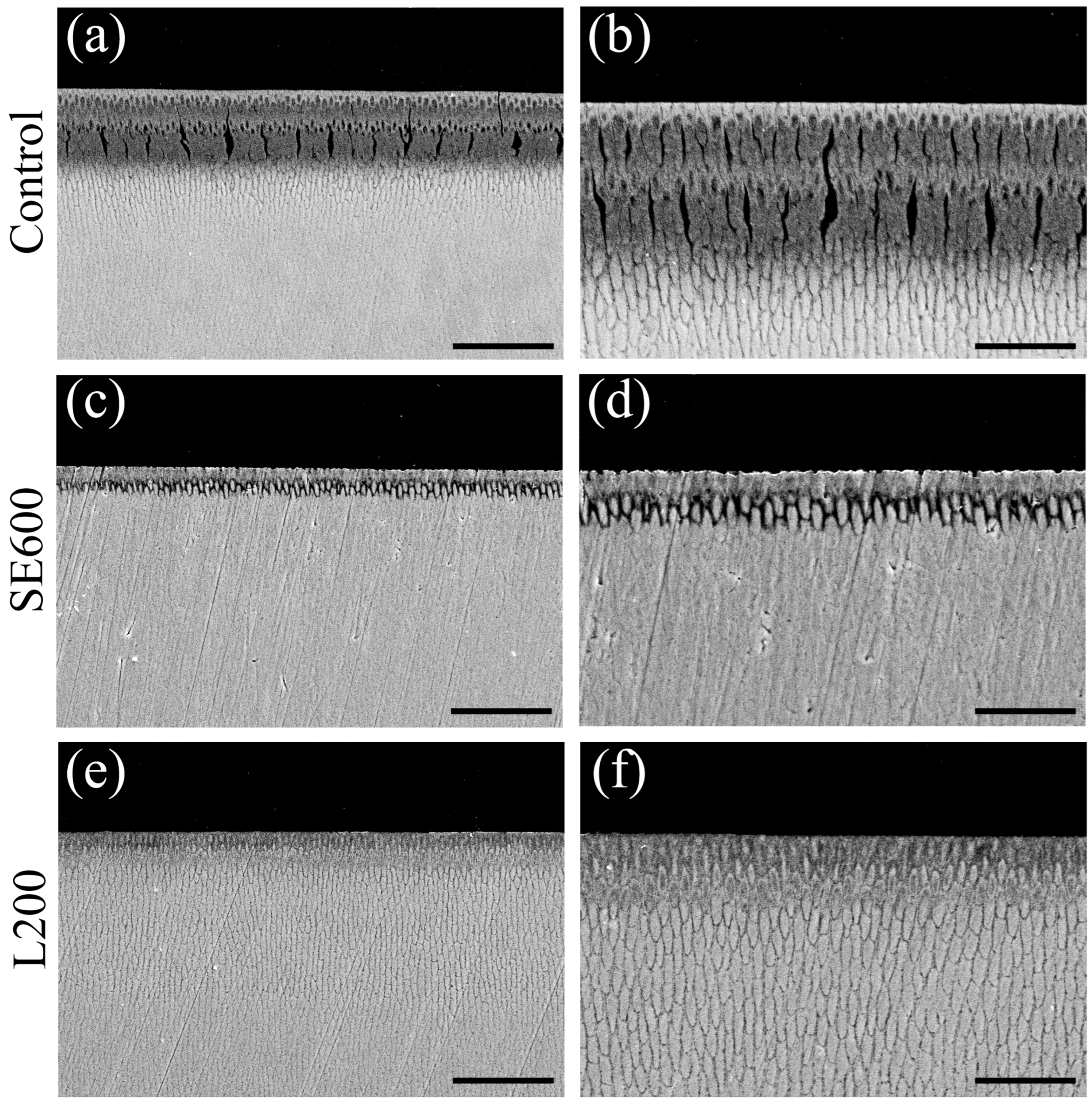 Materials 17 05731 g005
