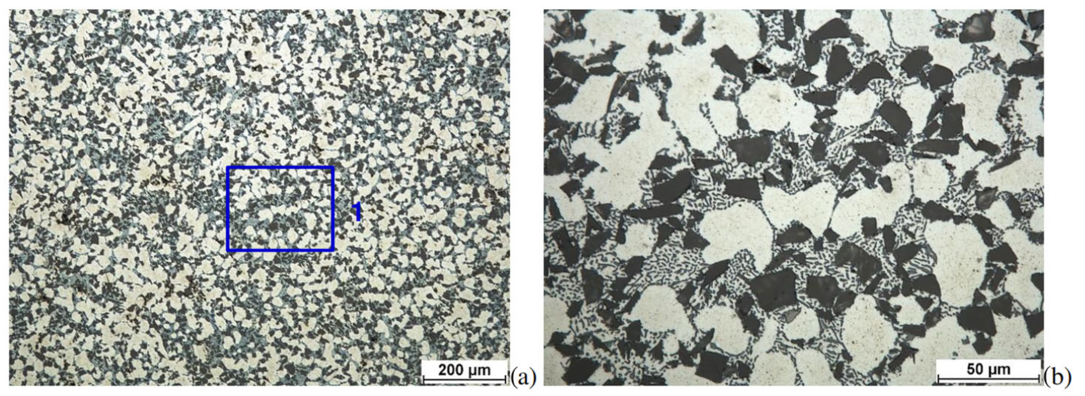 Materials 17 05783 g001