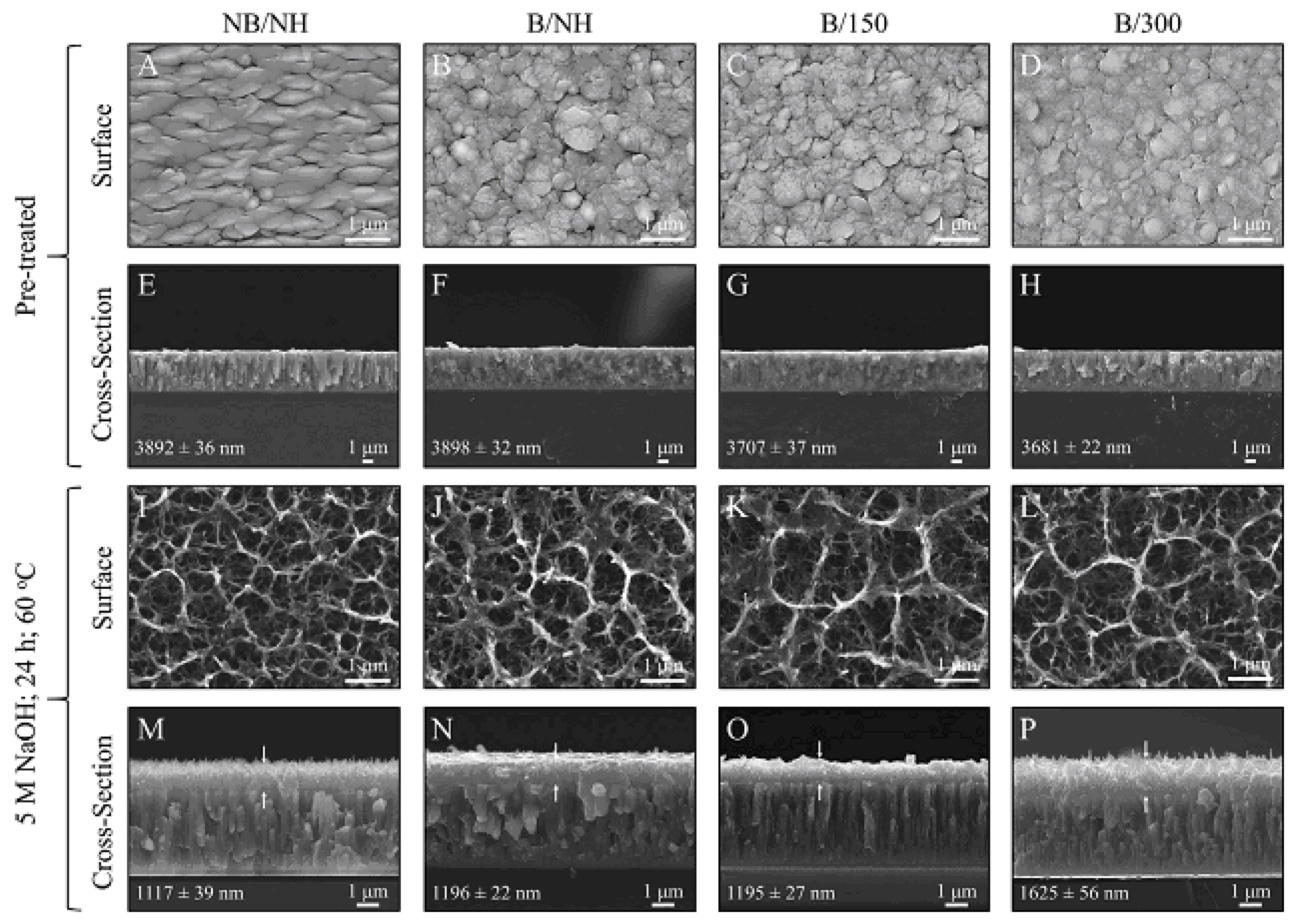 Materials 17 05847 g007