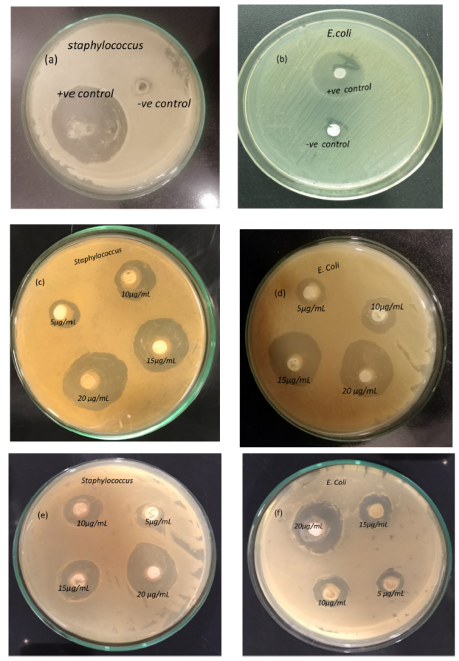 Materials 17 05847 g012