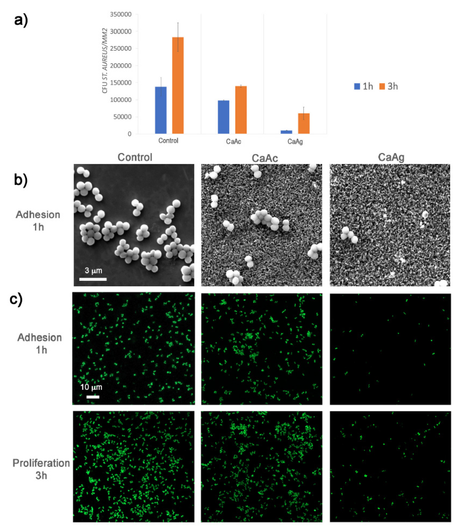 Materials 17 05847 g013