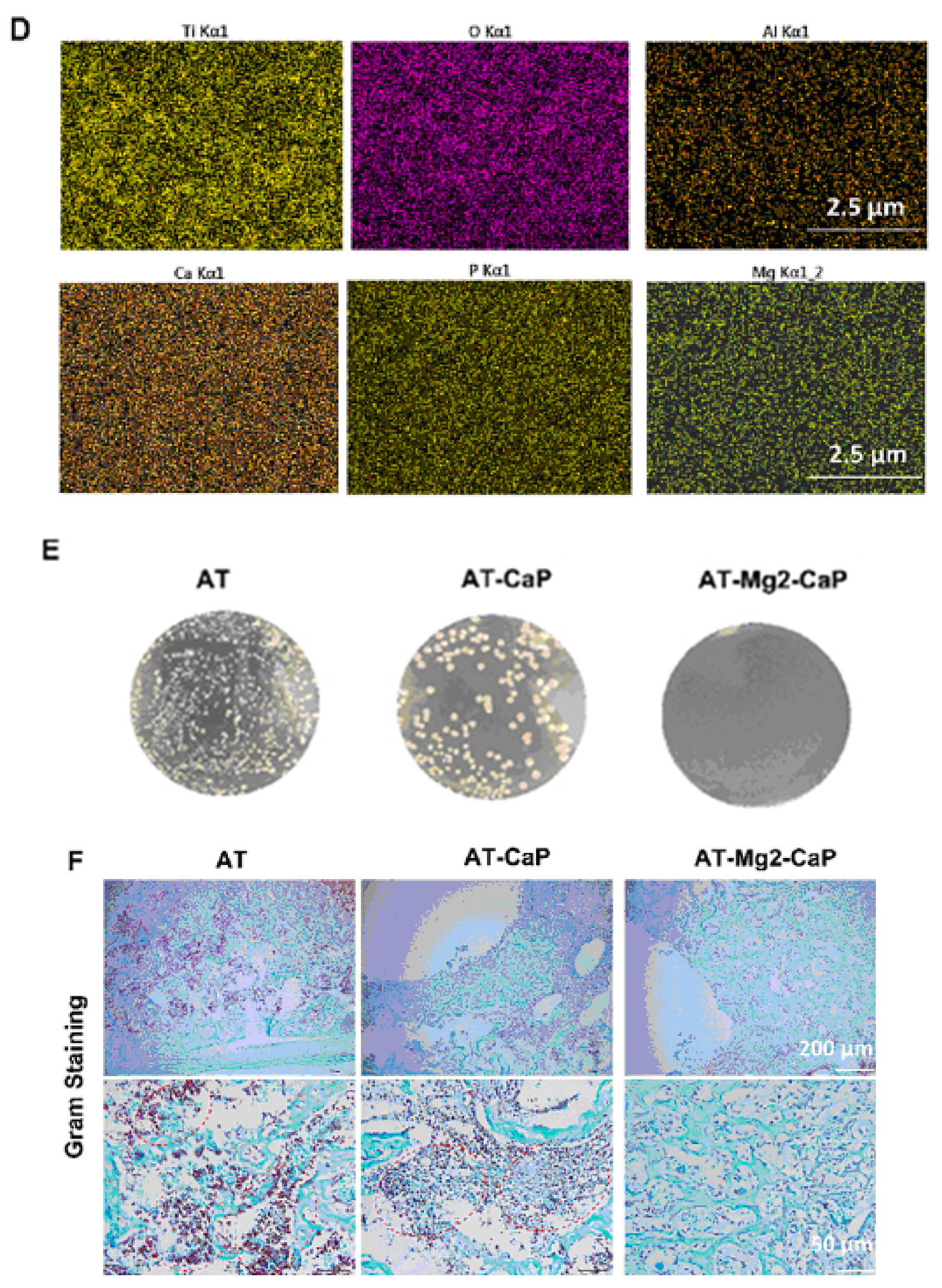 Materials 17 05847 g016b