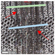 Materials 17 05870 i023