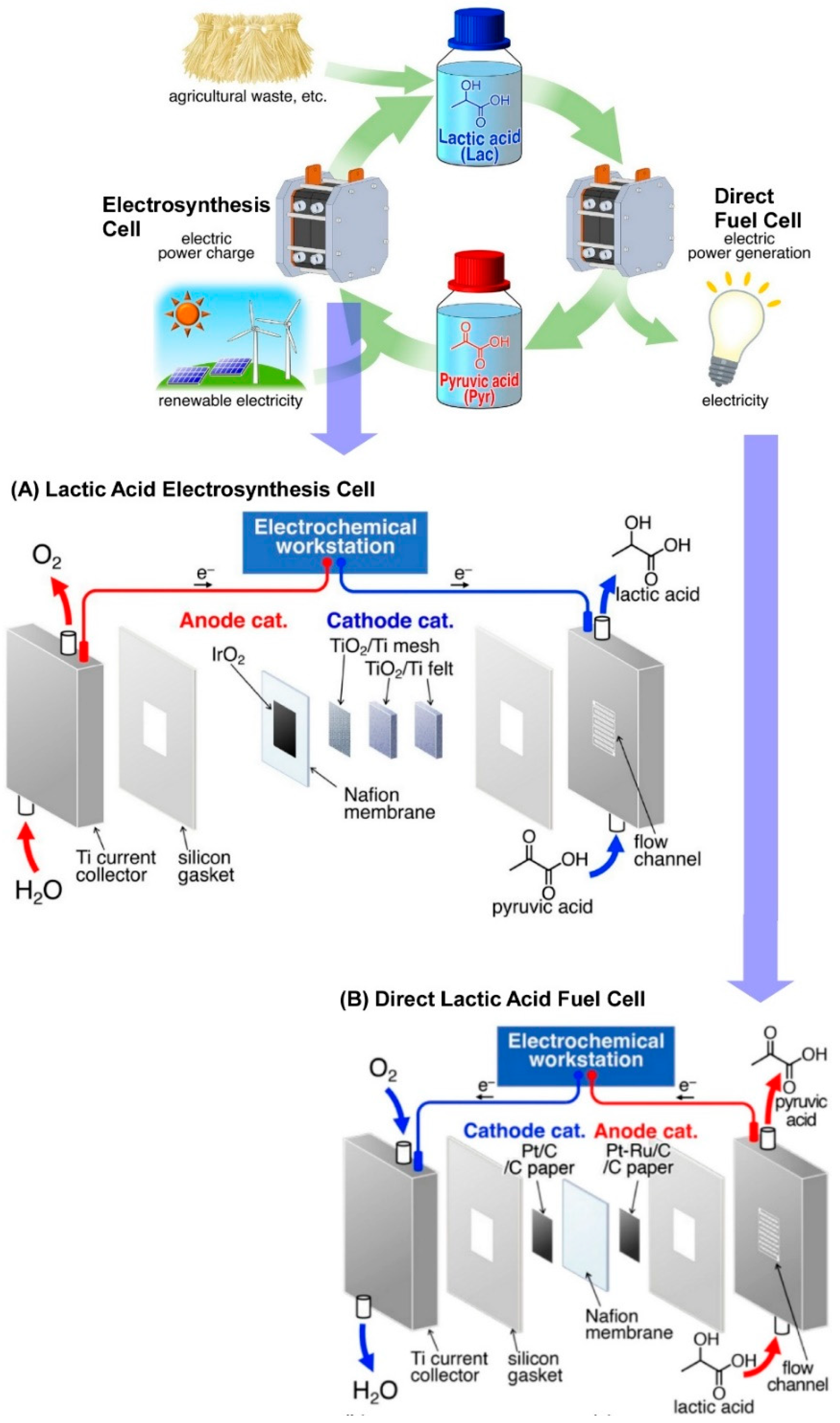 Materials 17 05918 g007