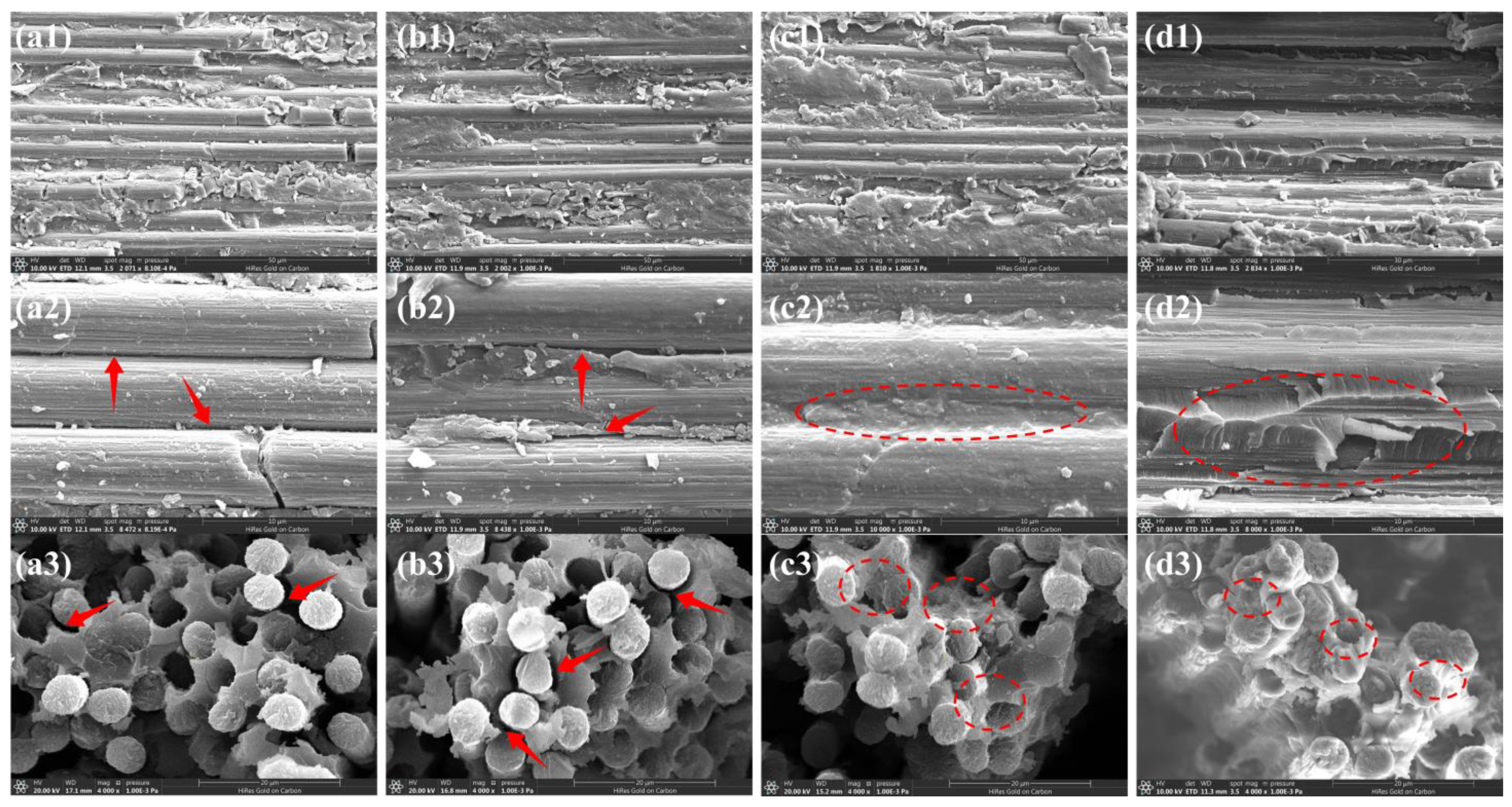 Materials 17 05962 g005