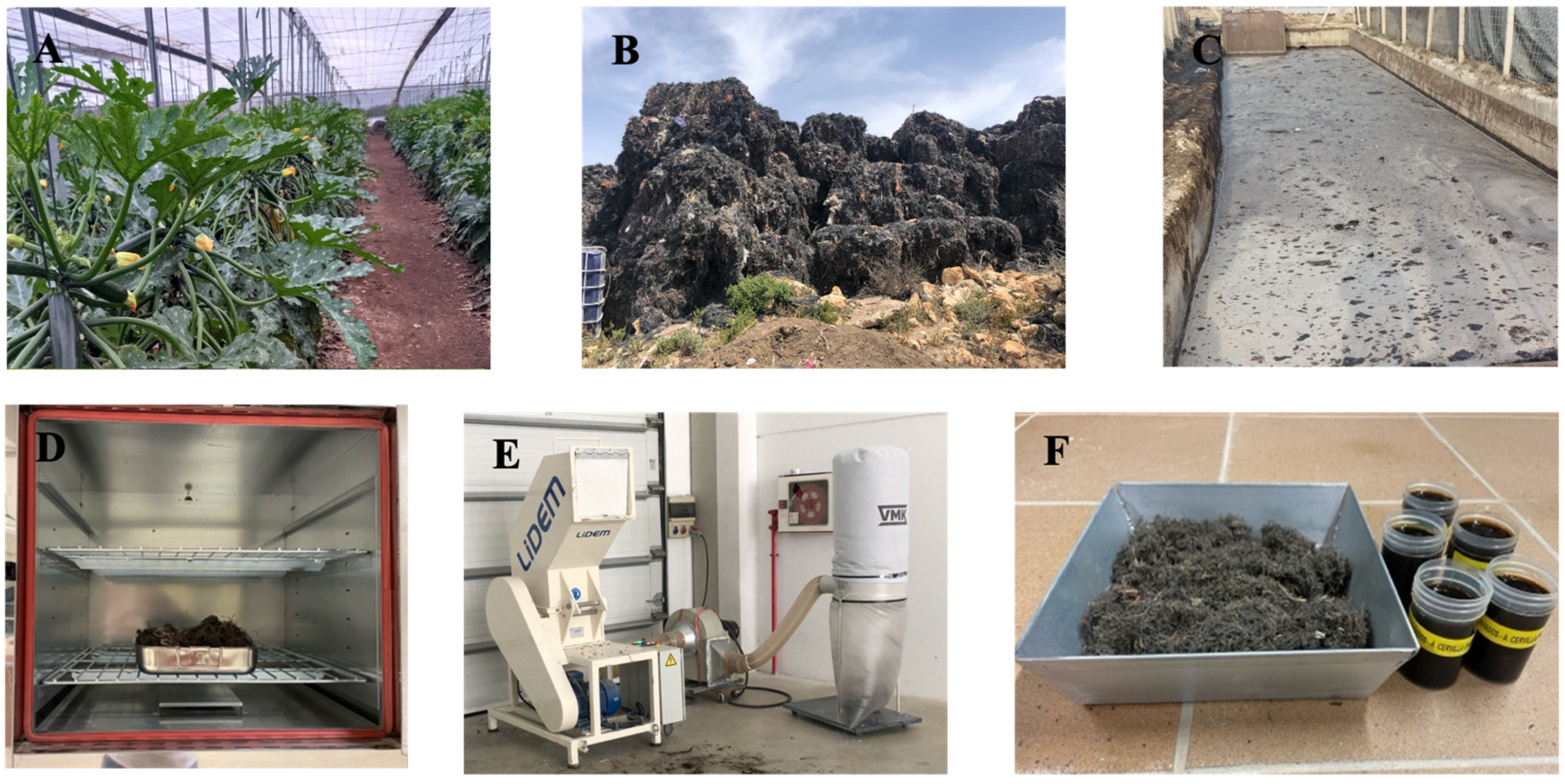 Materials 17 06118 g002