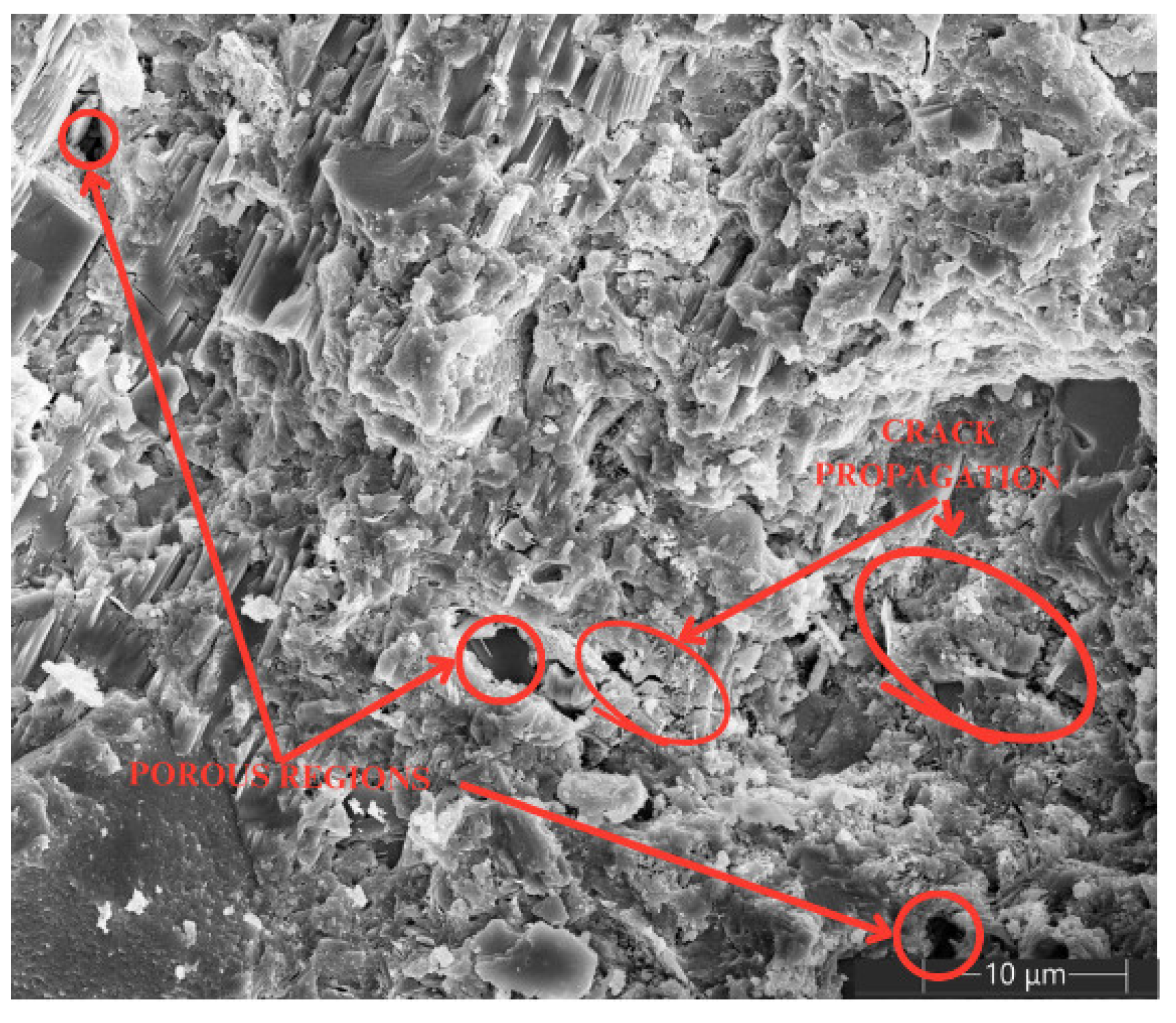 Materials 18 00210 g012