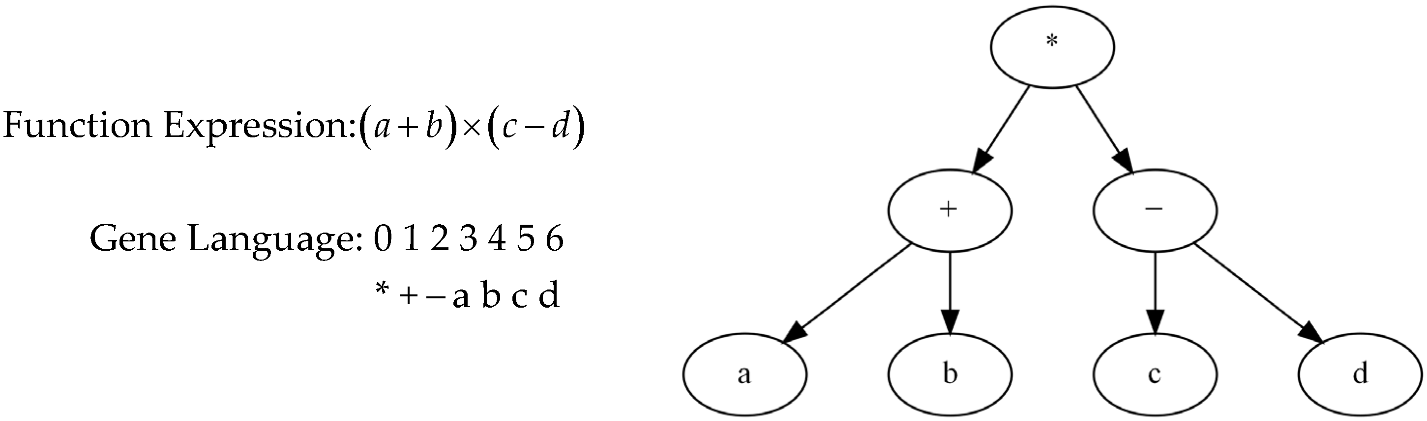 Materials 18 00230 g001