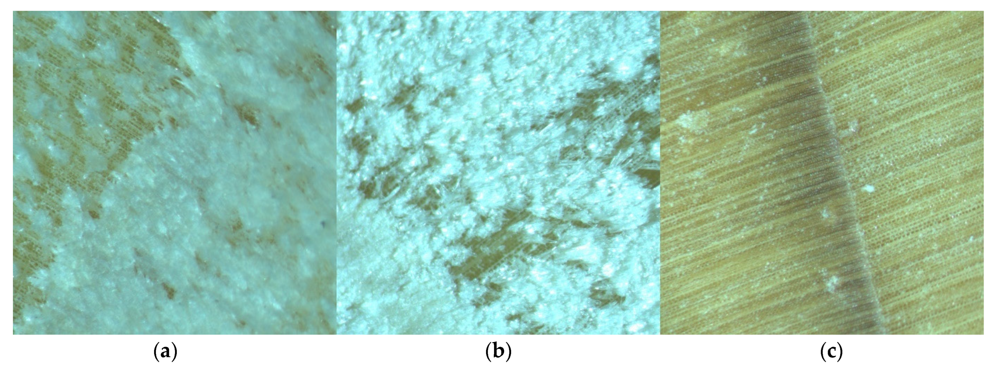 Materials 18 00236 g004