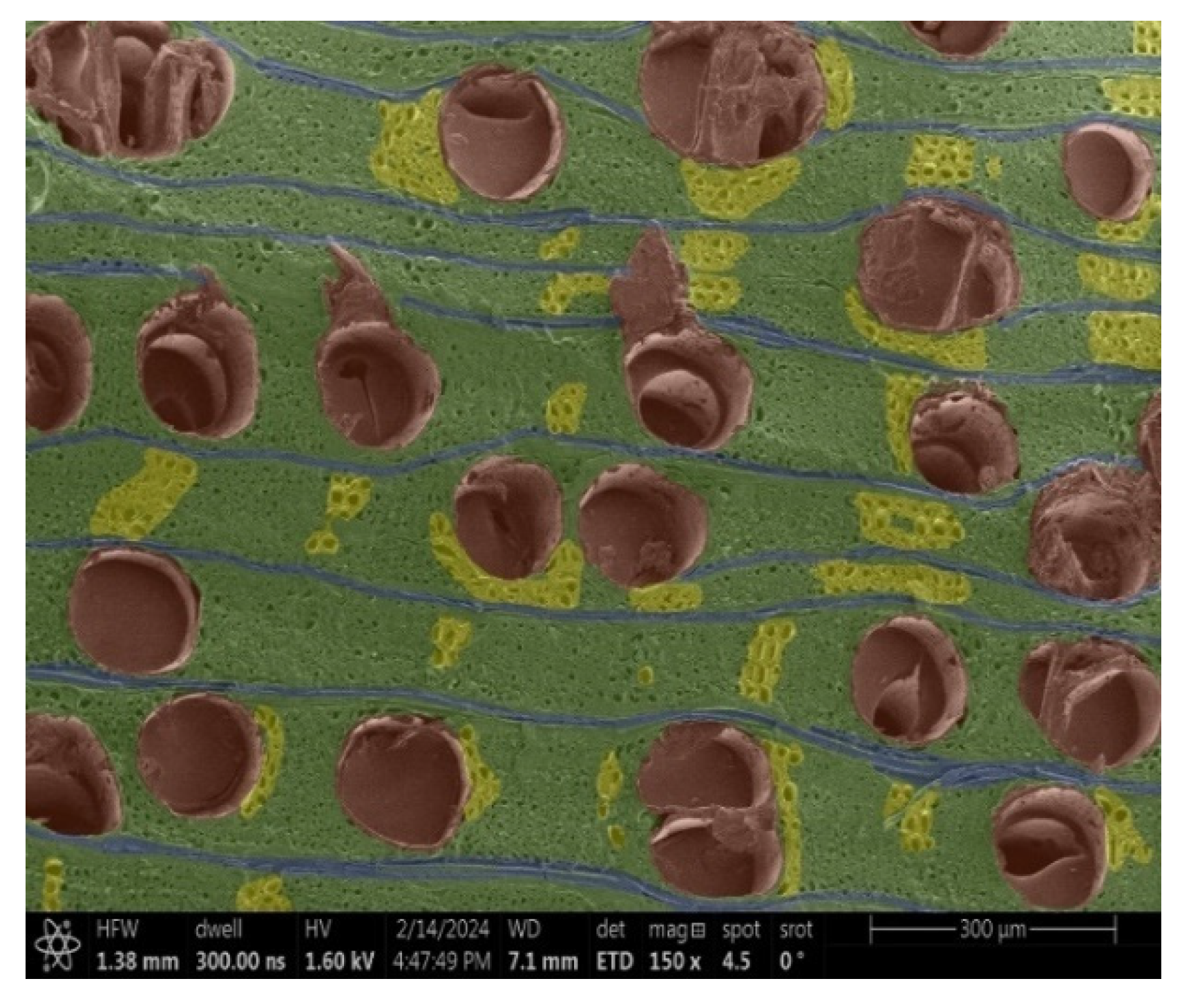 Materials 18 00236 g005