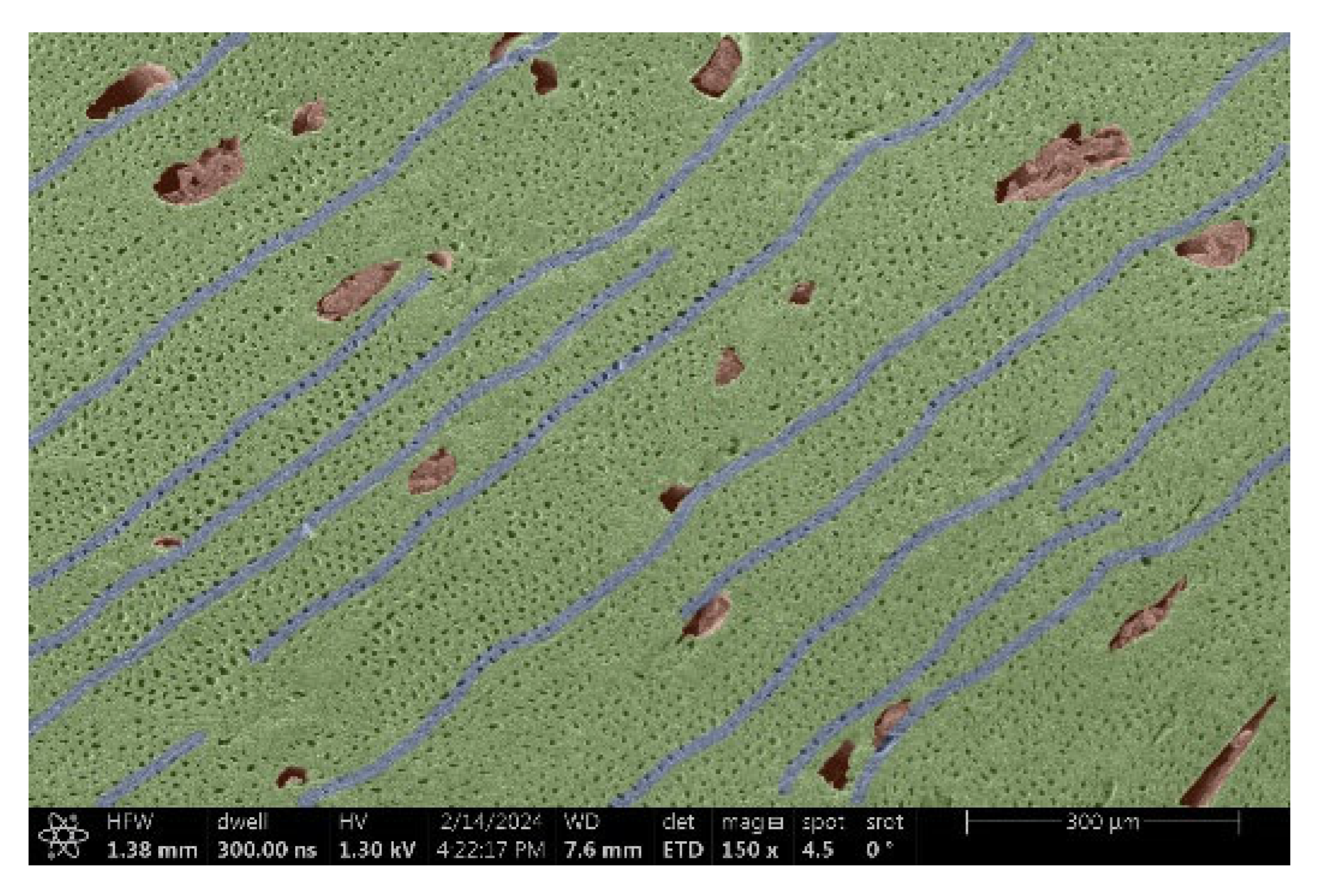 Materials 18 00236 i005