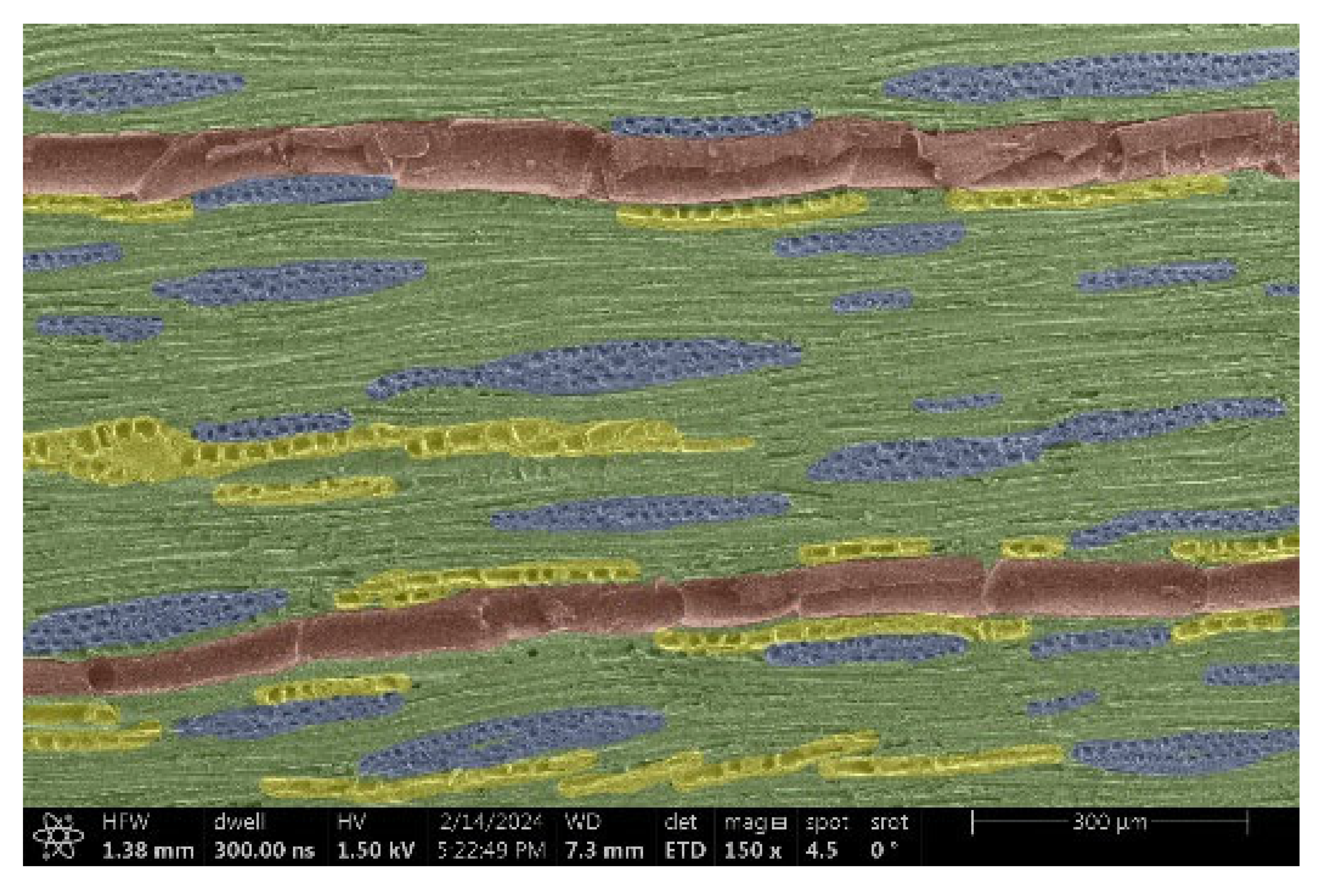 Materials 18 00236 i008