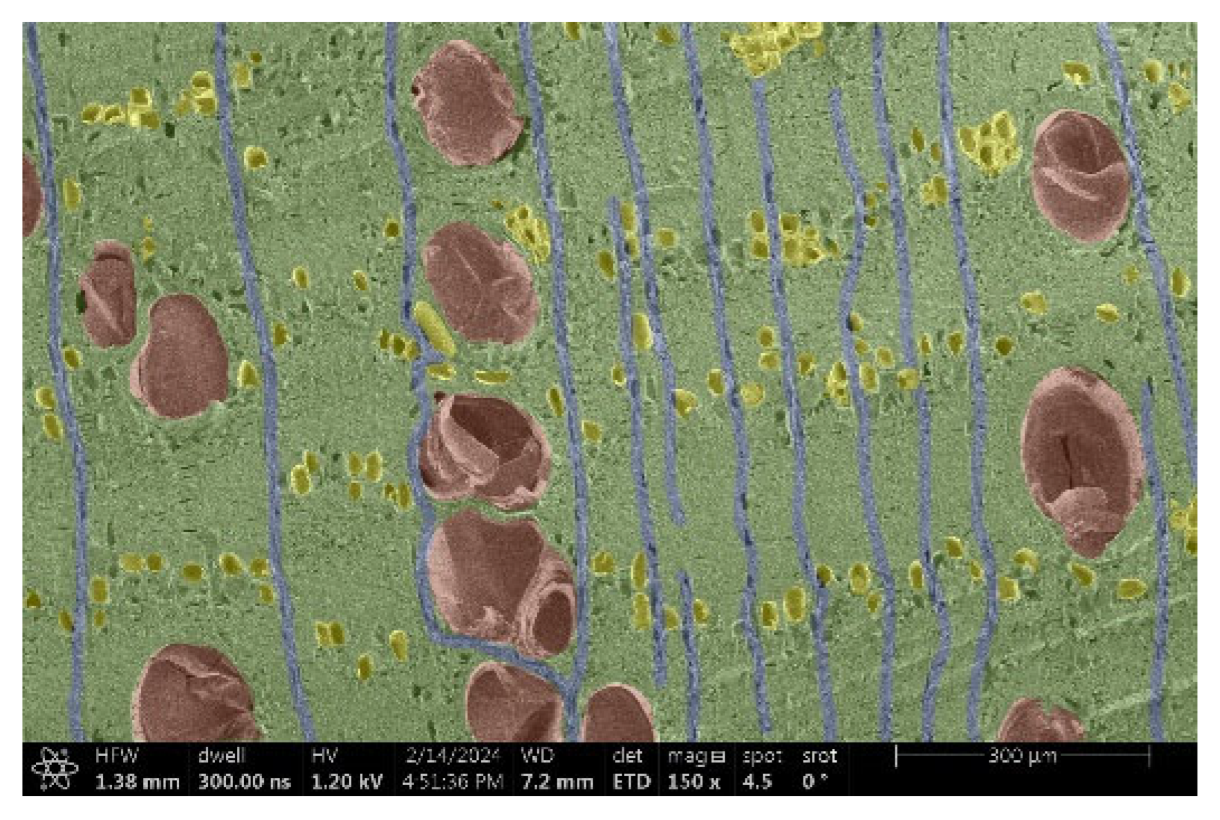 Materials 18 00236 i015