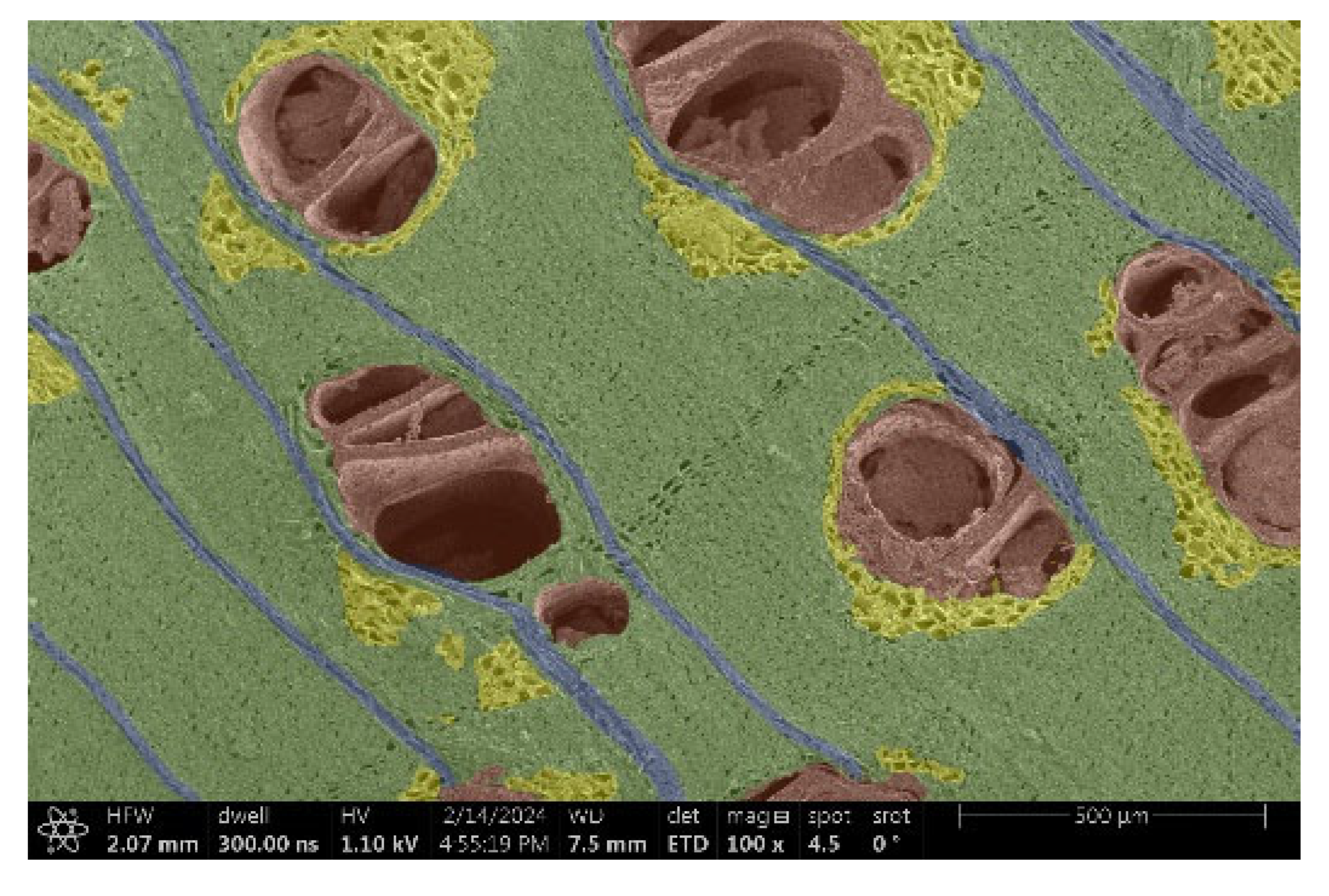 Materials 18 00236 i017