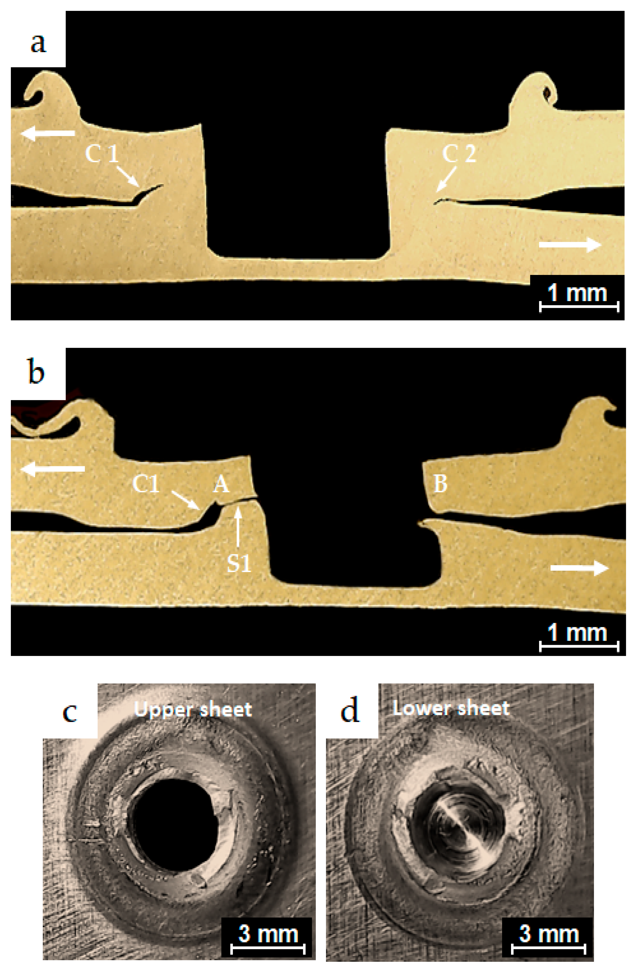 Materials 18 00256 g013