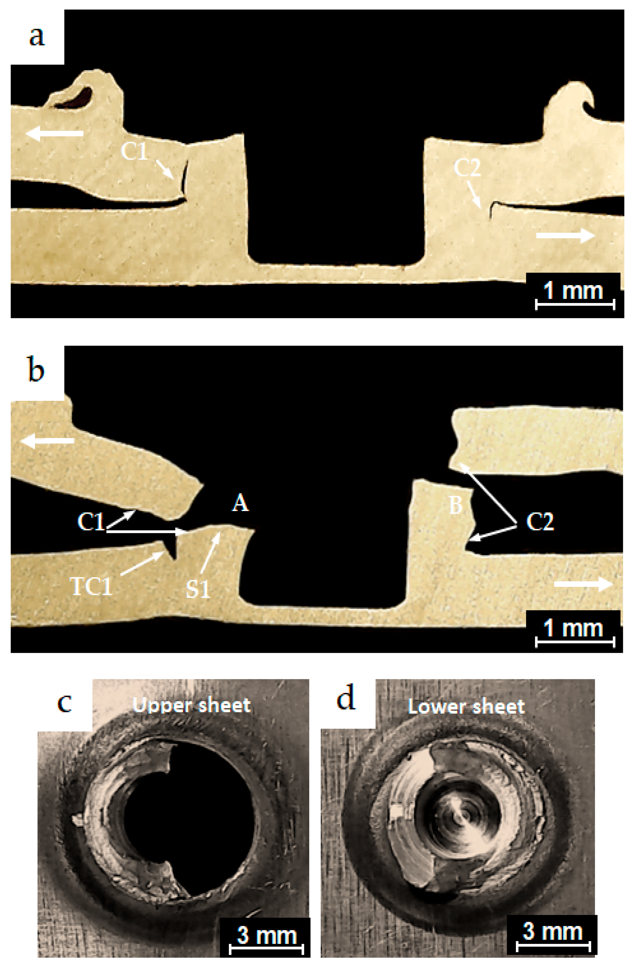 Materials 18 00256 g014
