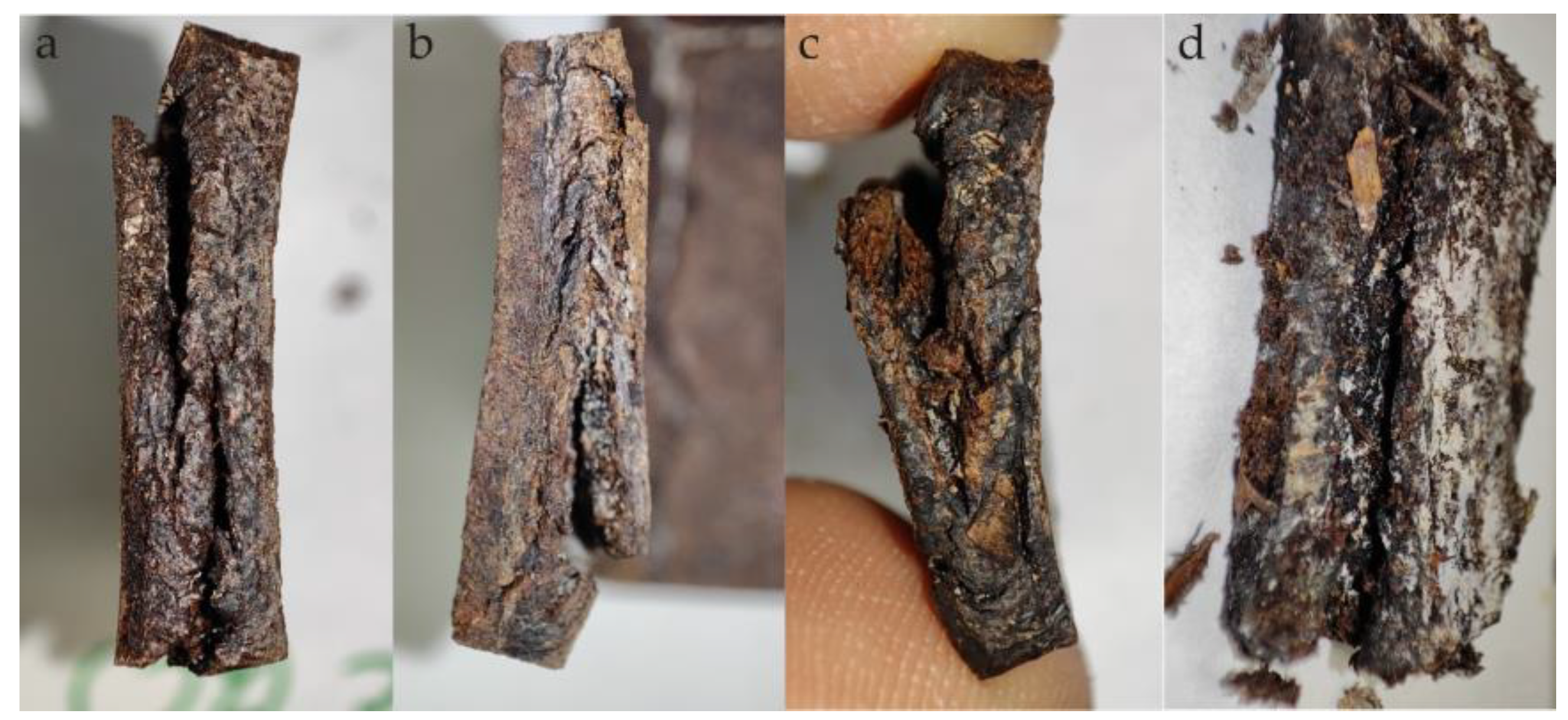 Materials 18 00293 g004