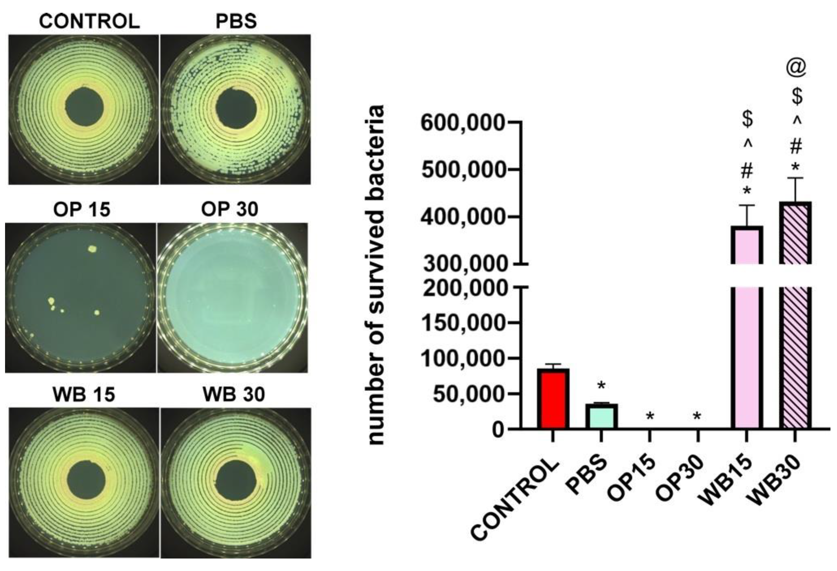 Materials 18 00293 g014
