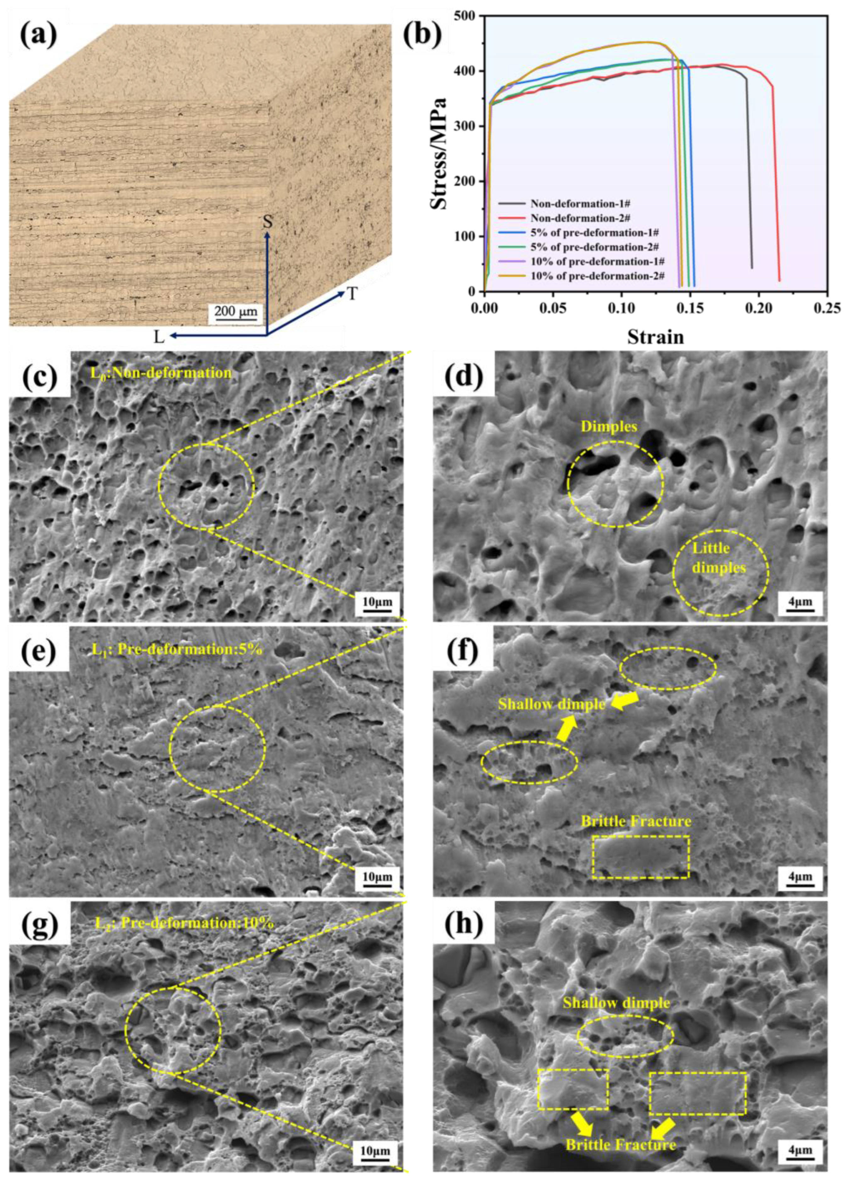 Materials 18 00365 g004
