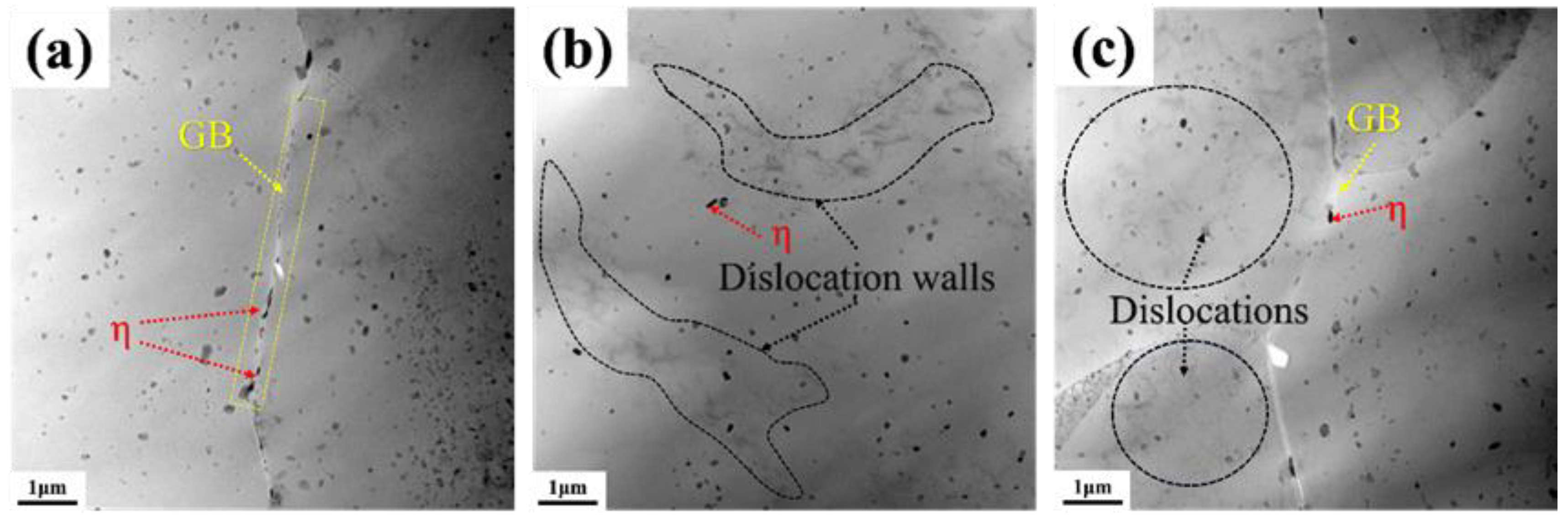 Materials 18 00365 g011