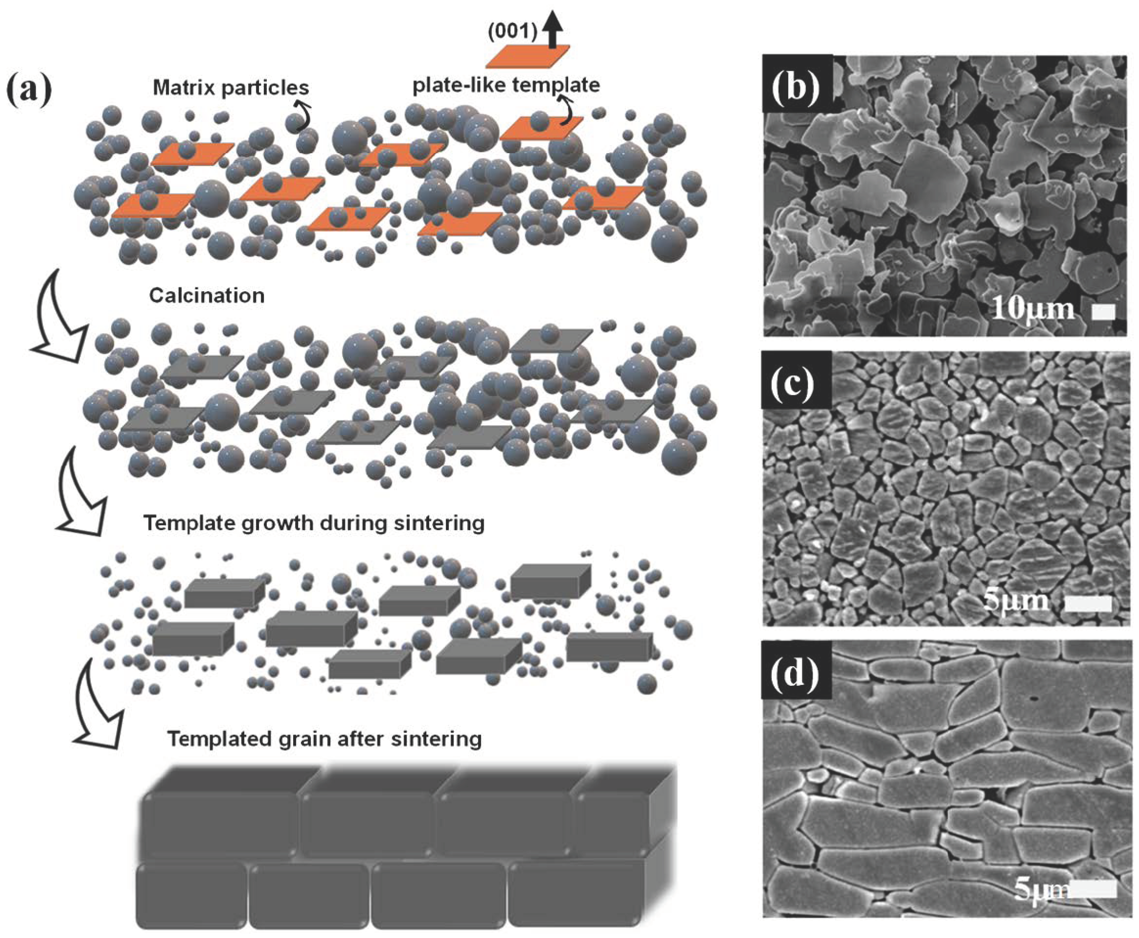 Materials 18 00477 g002