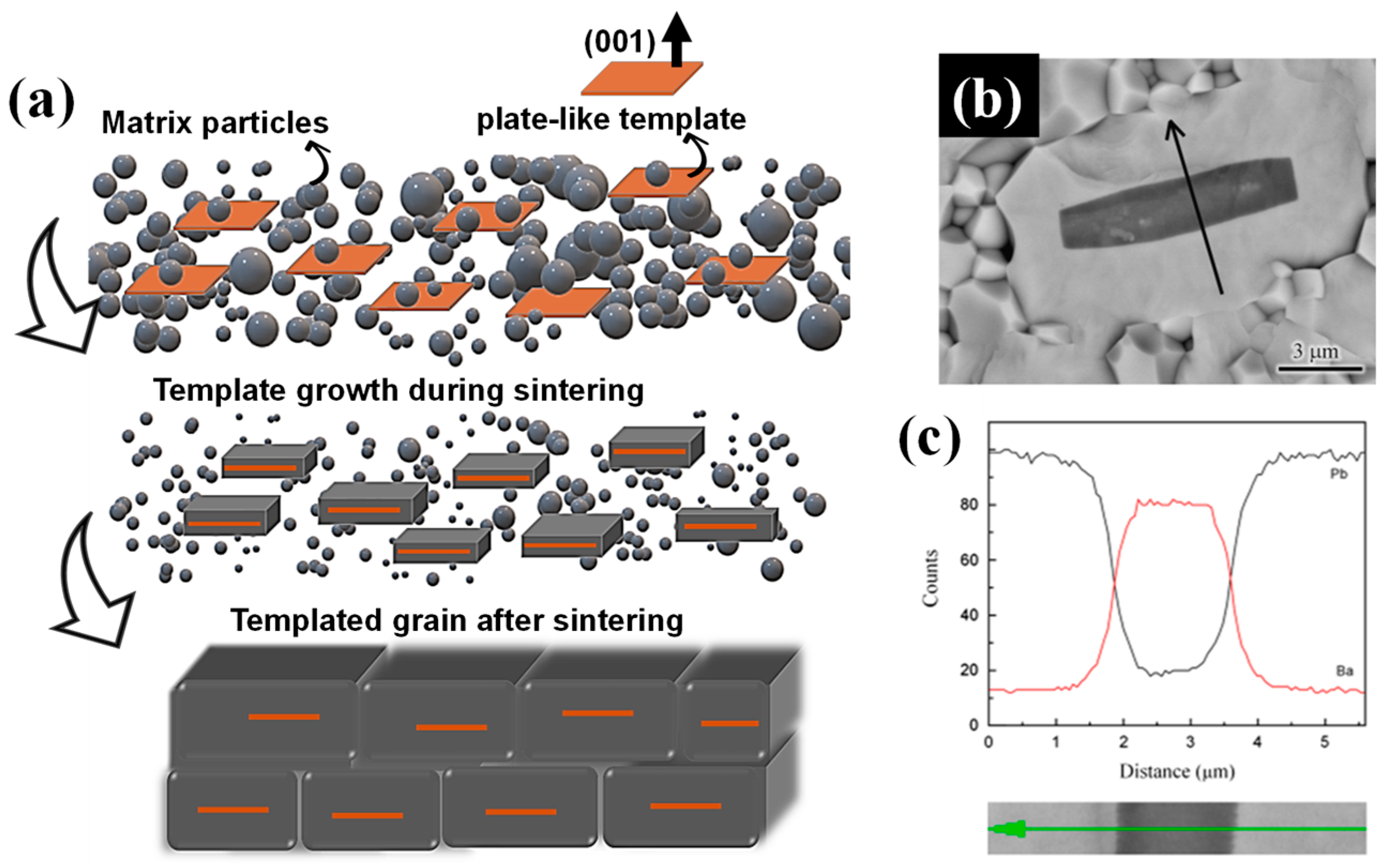 Materials 18 00477 g003