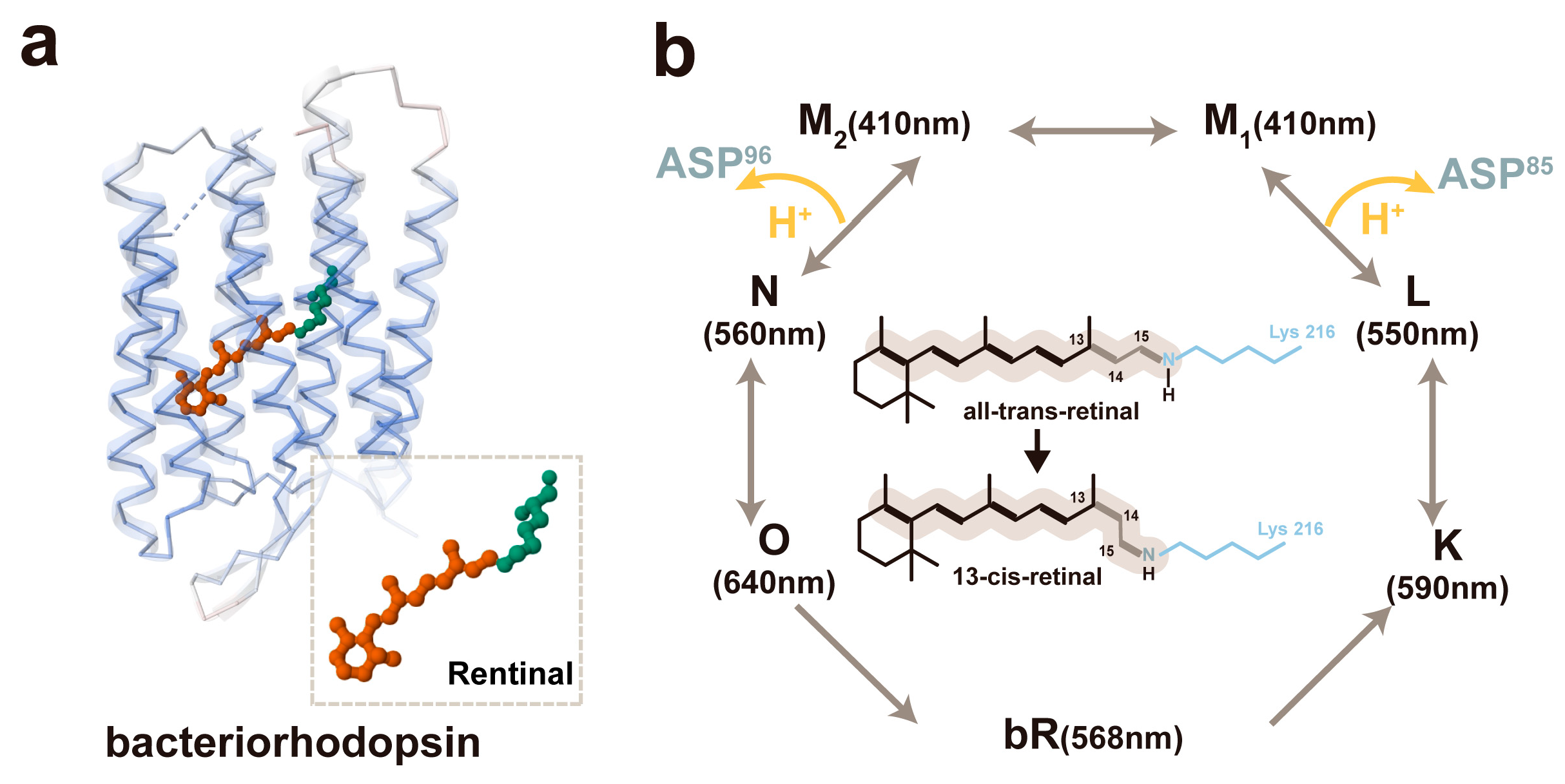 Materials 18 00478 g002