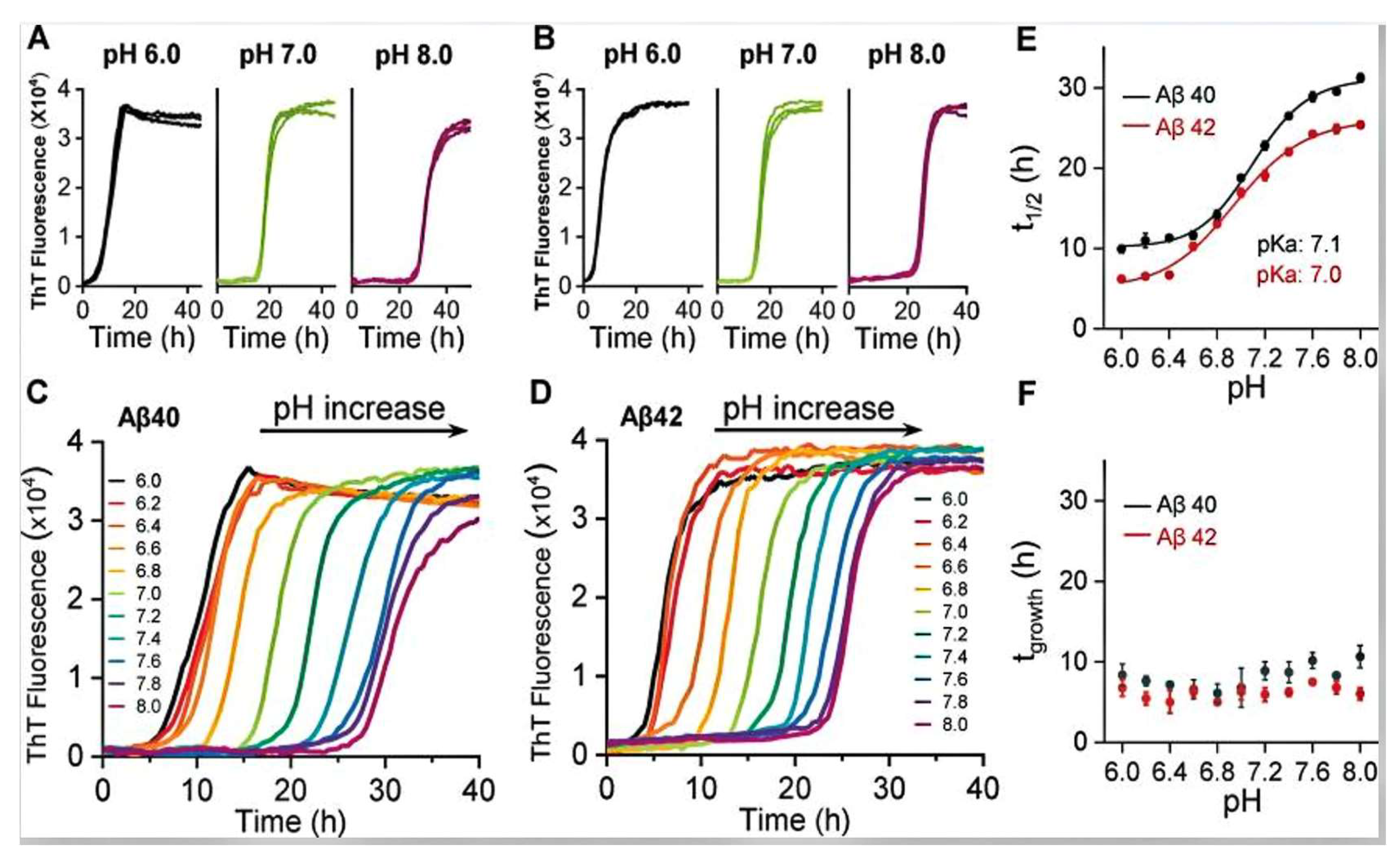 Materials 18 00502 g002