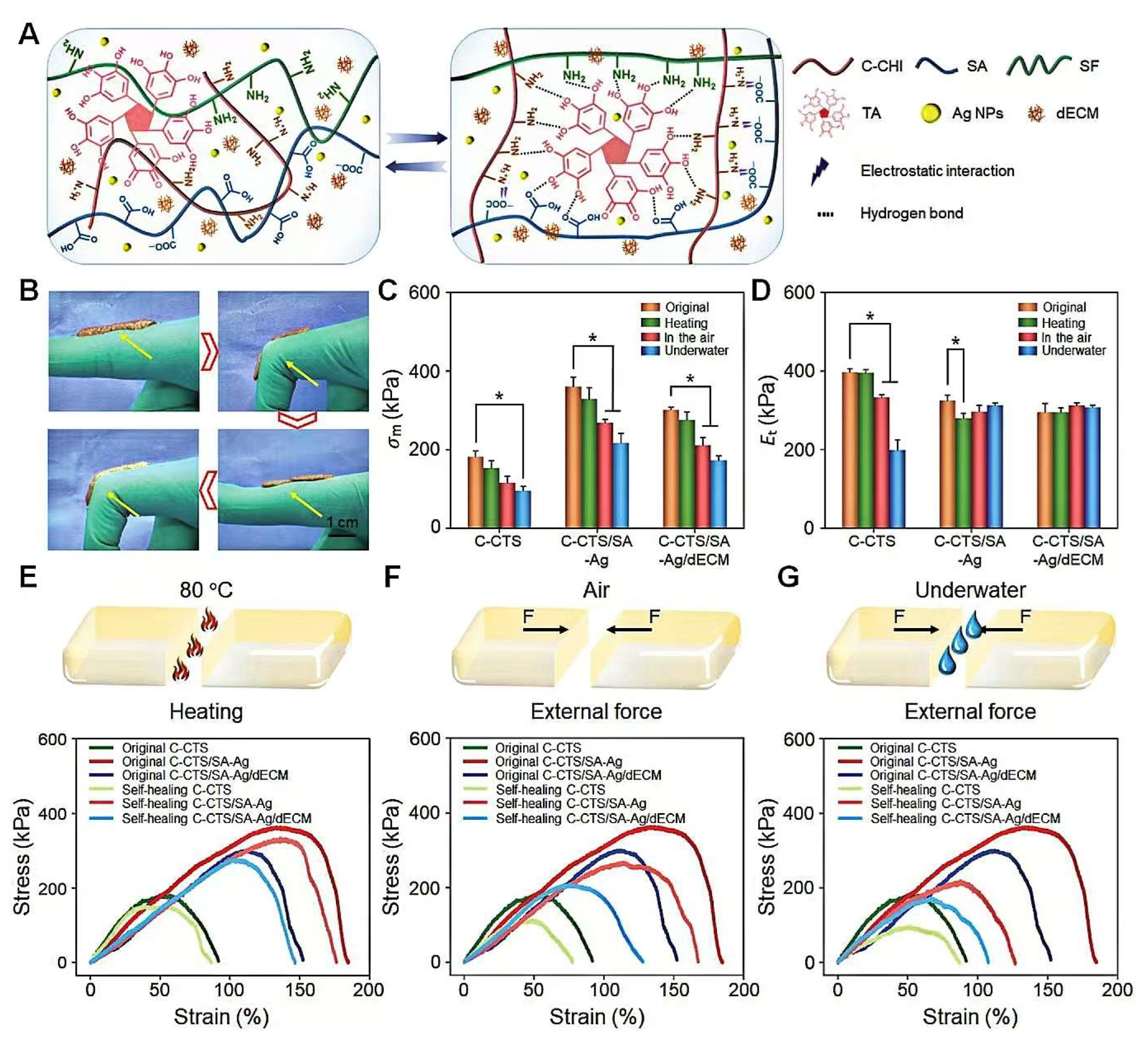 Materials 18 00502 g004