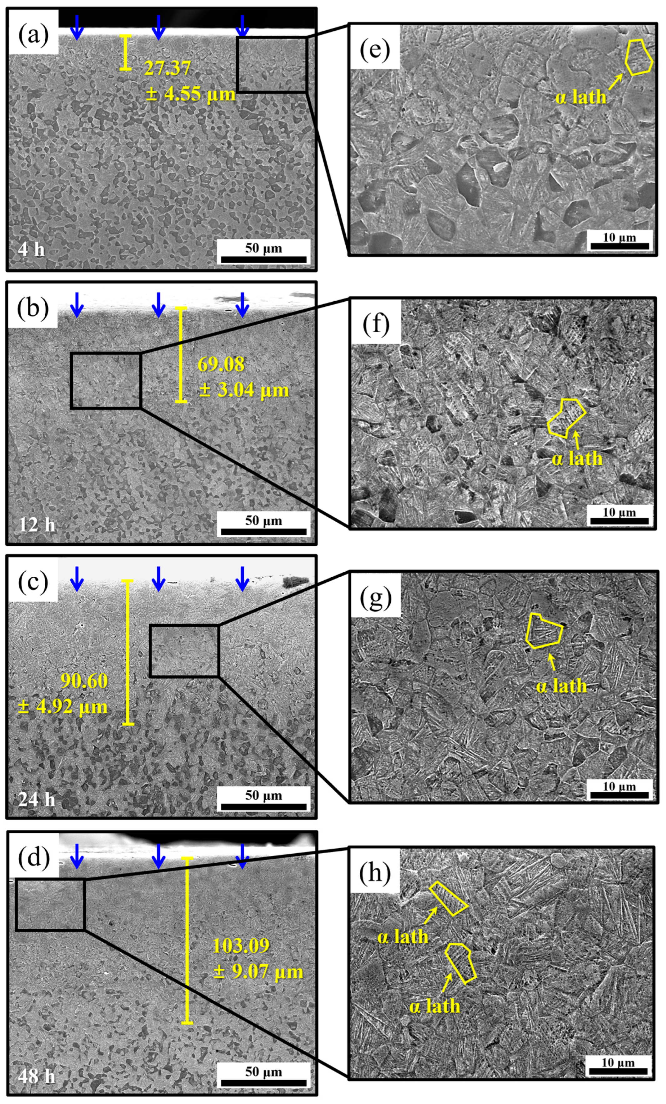 Materials 18 00518 g010