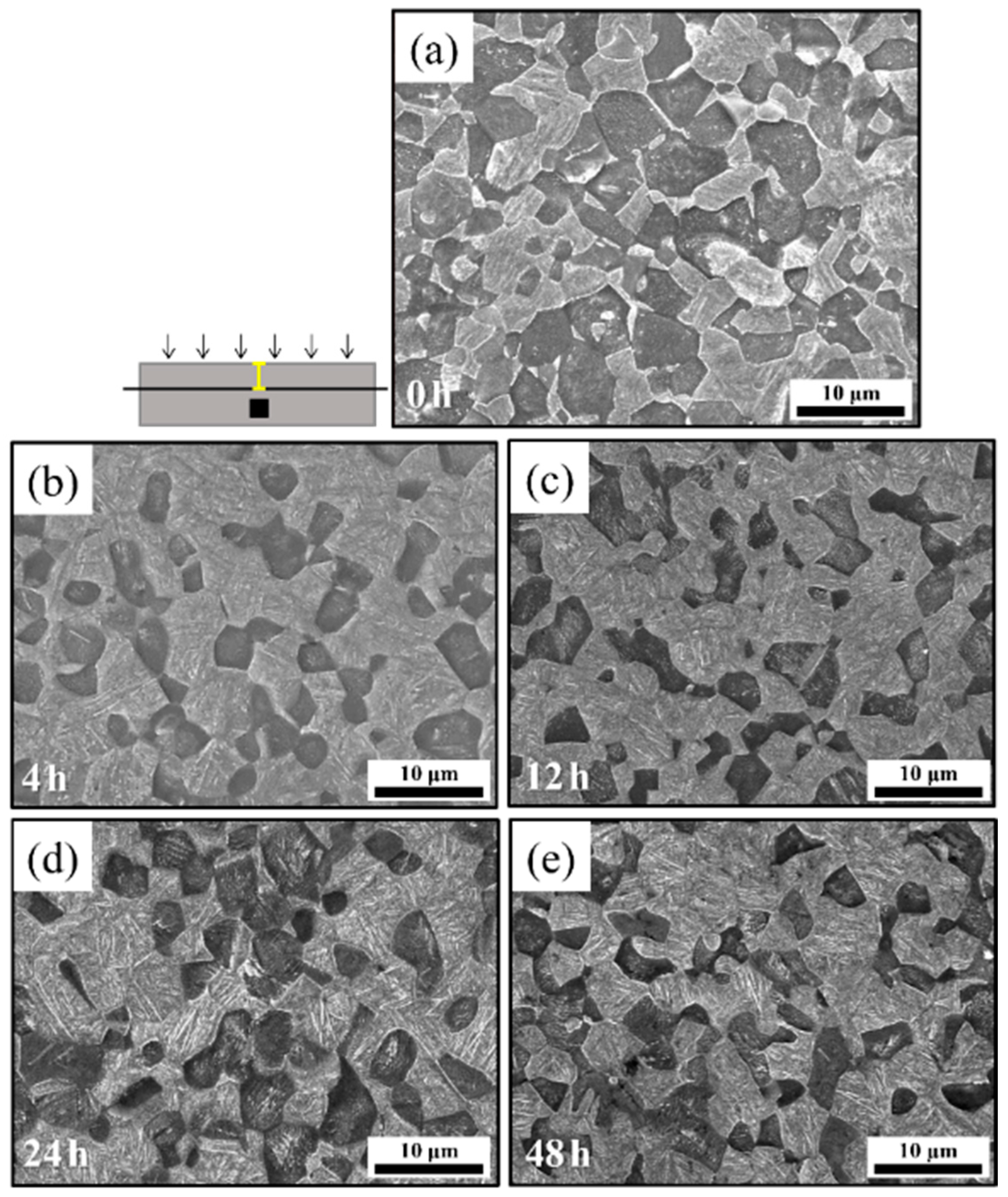 Materials 18 00518 g011