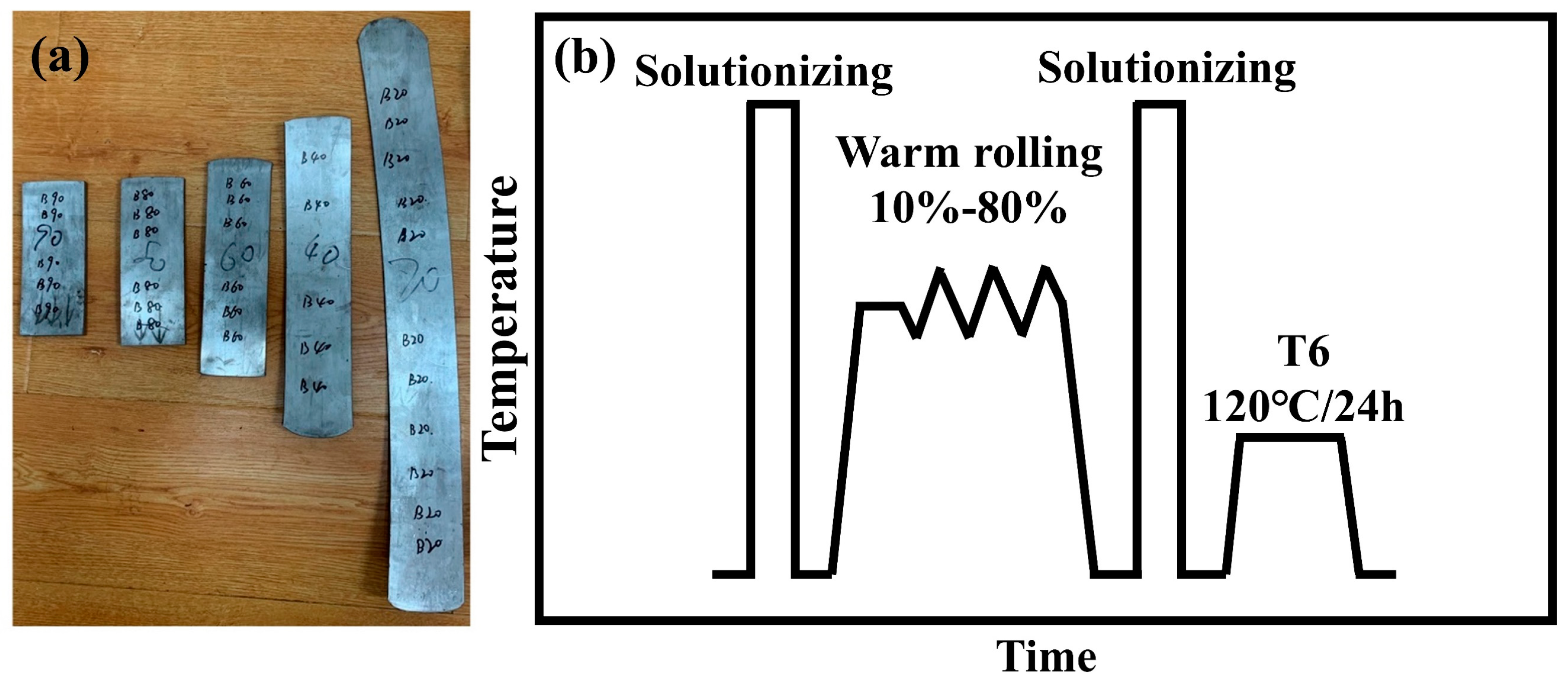 Materials 18 00554 g001