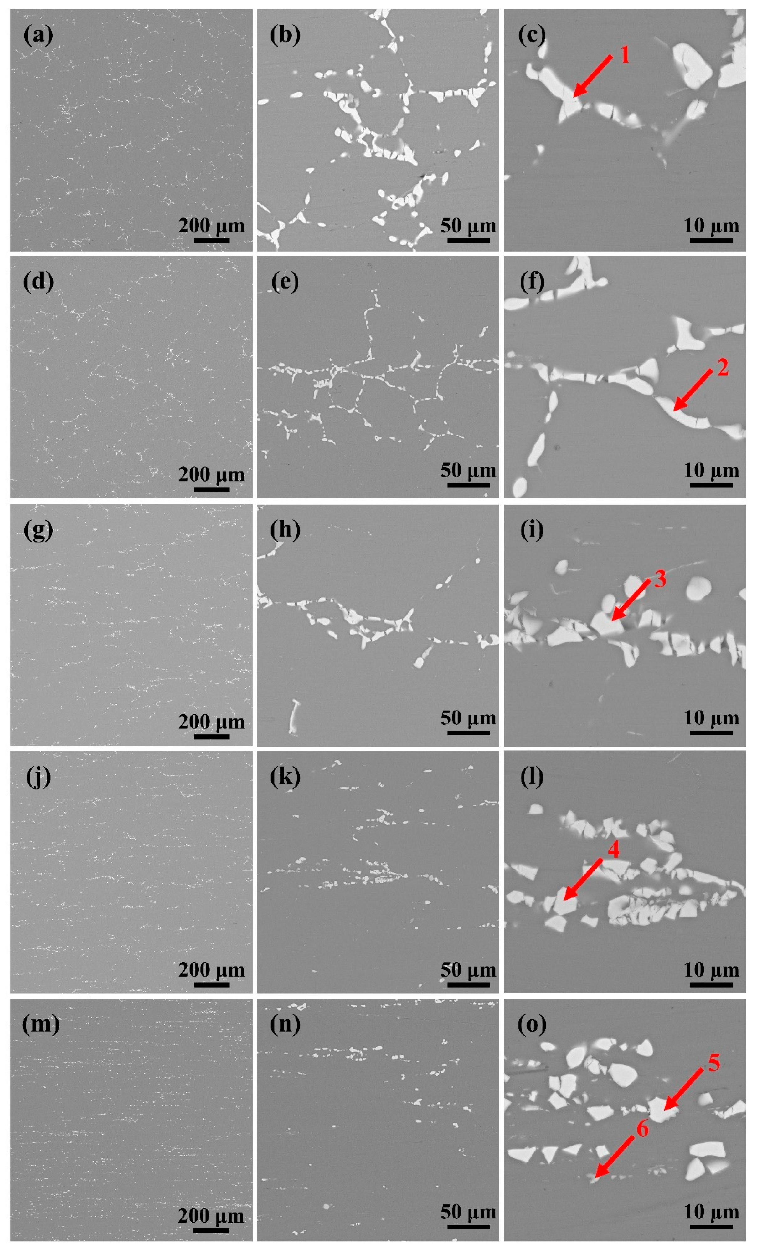 Materials 18 00554 g002