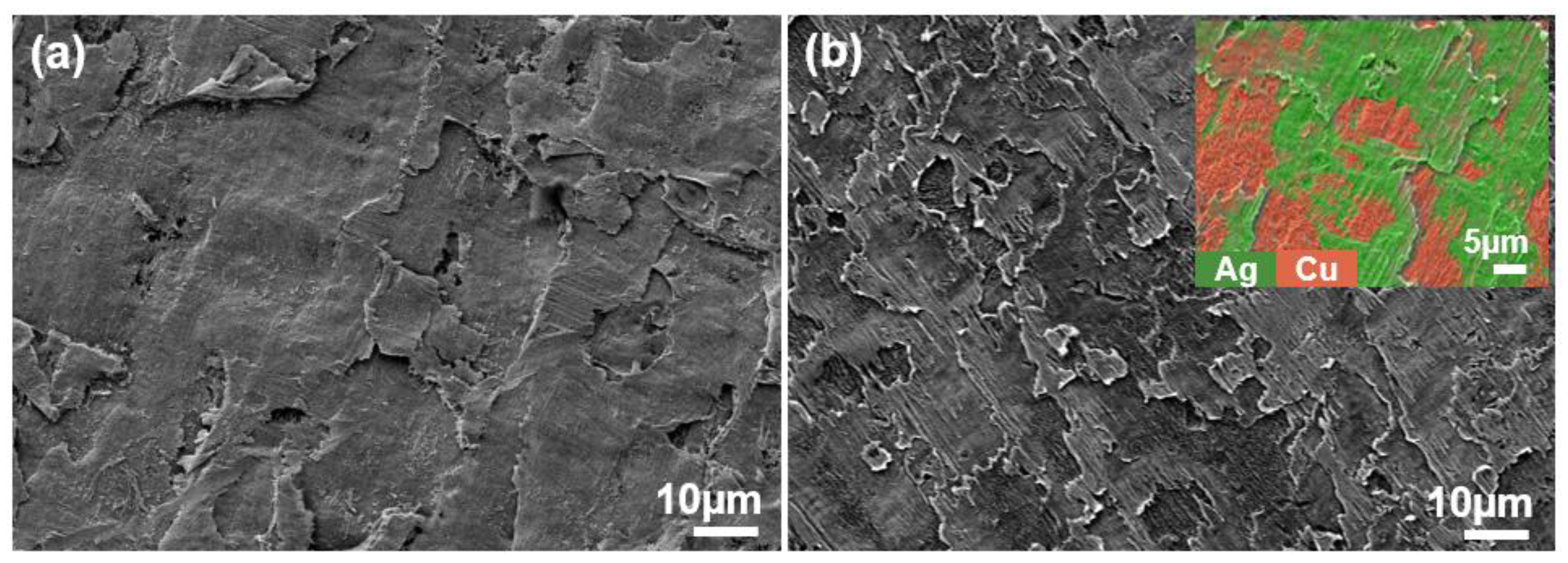 Materials 18 00581 g003