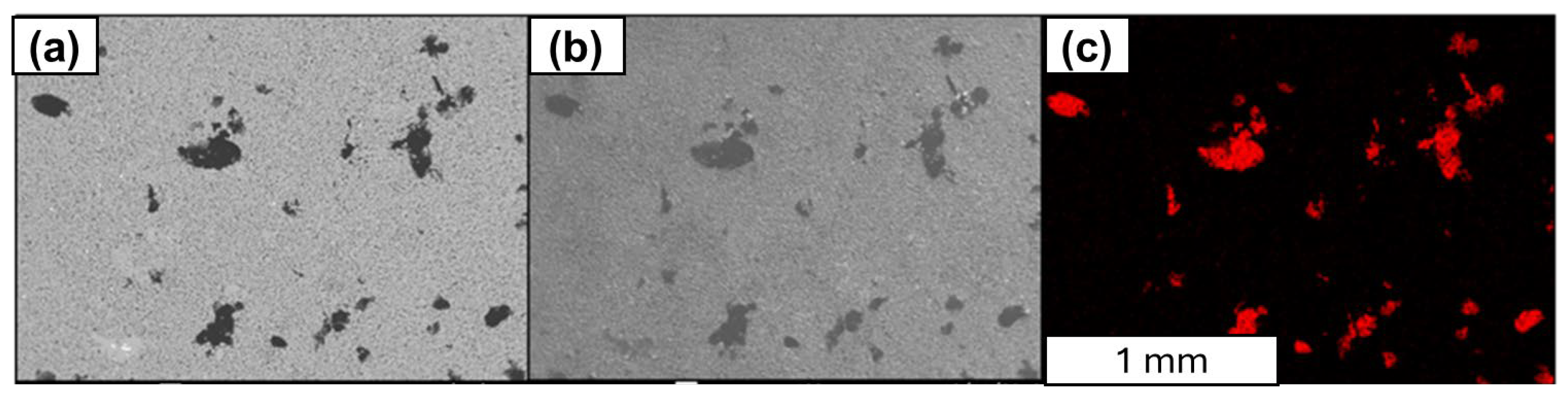 Materials 18 00590 g009