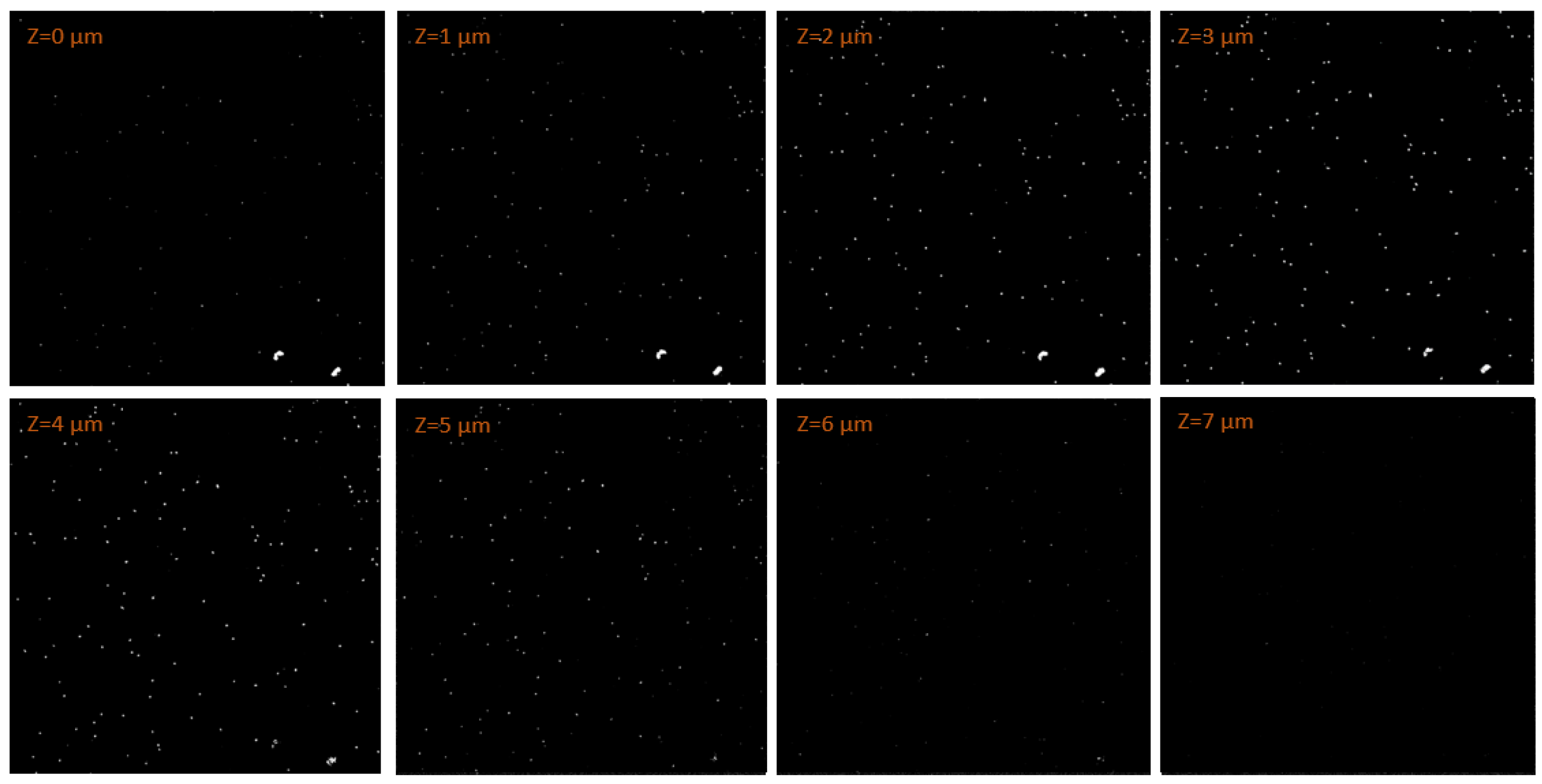 Materials 18 00621 g005