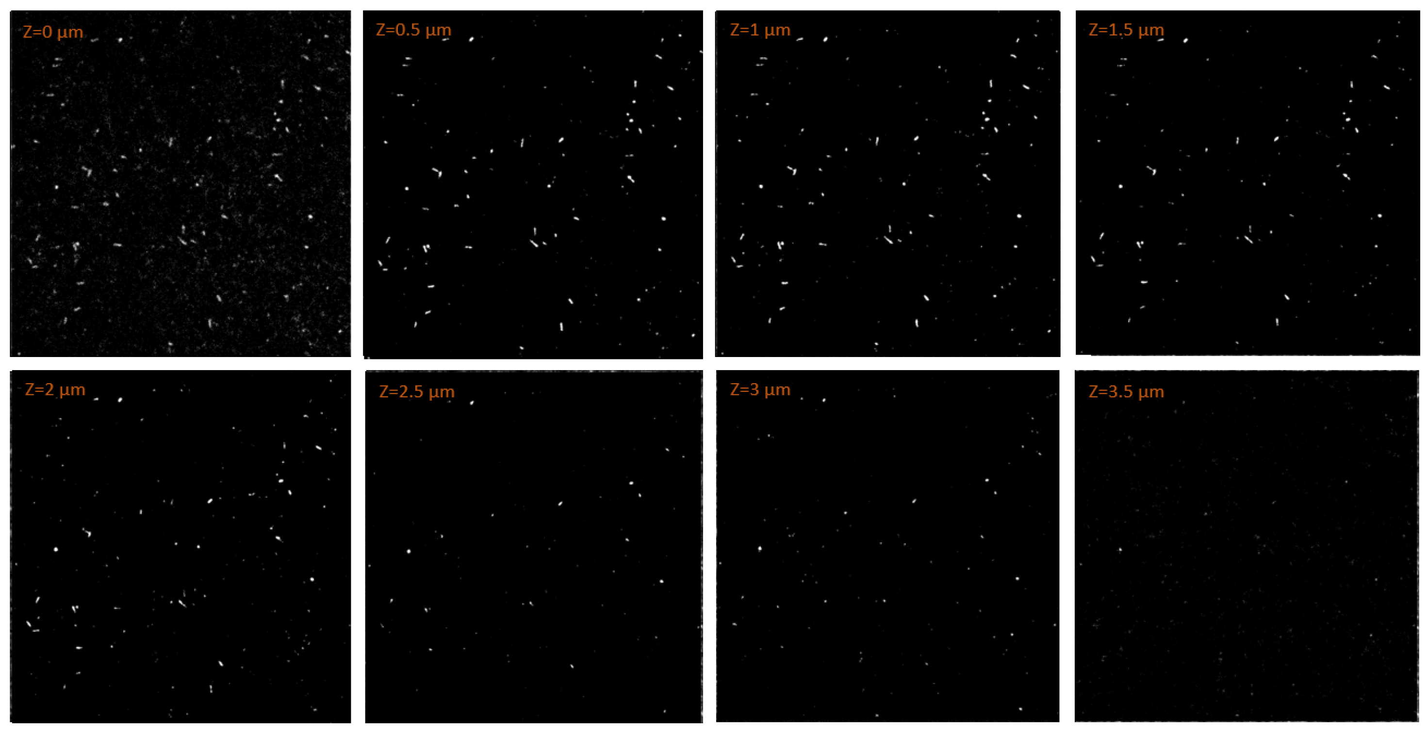 Materials 18 00621 g009