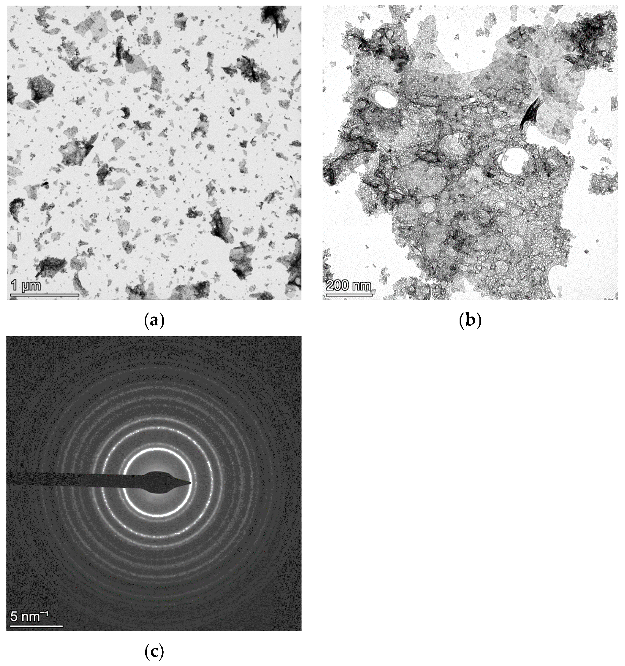 Materials 18 00650 g001