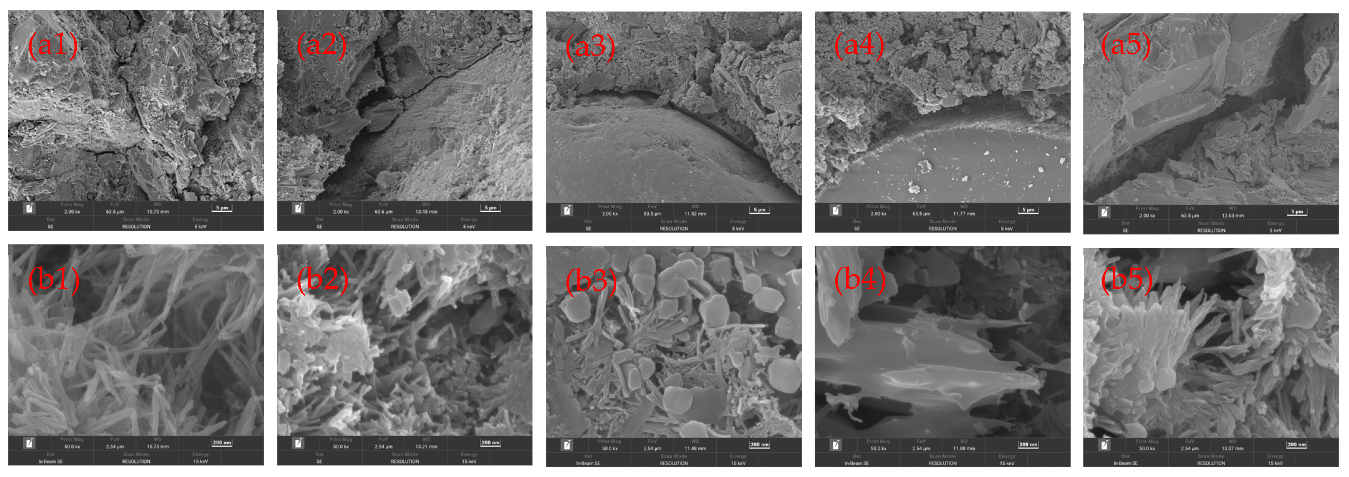 Materials 18 00696 g007