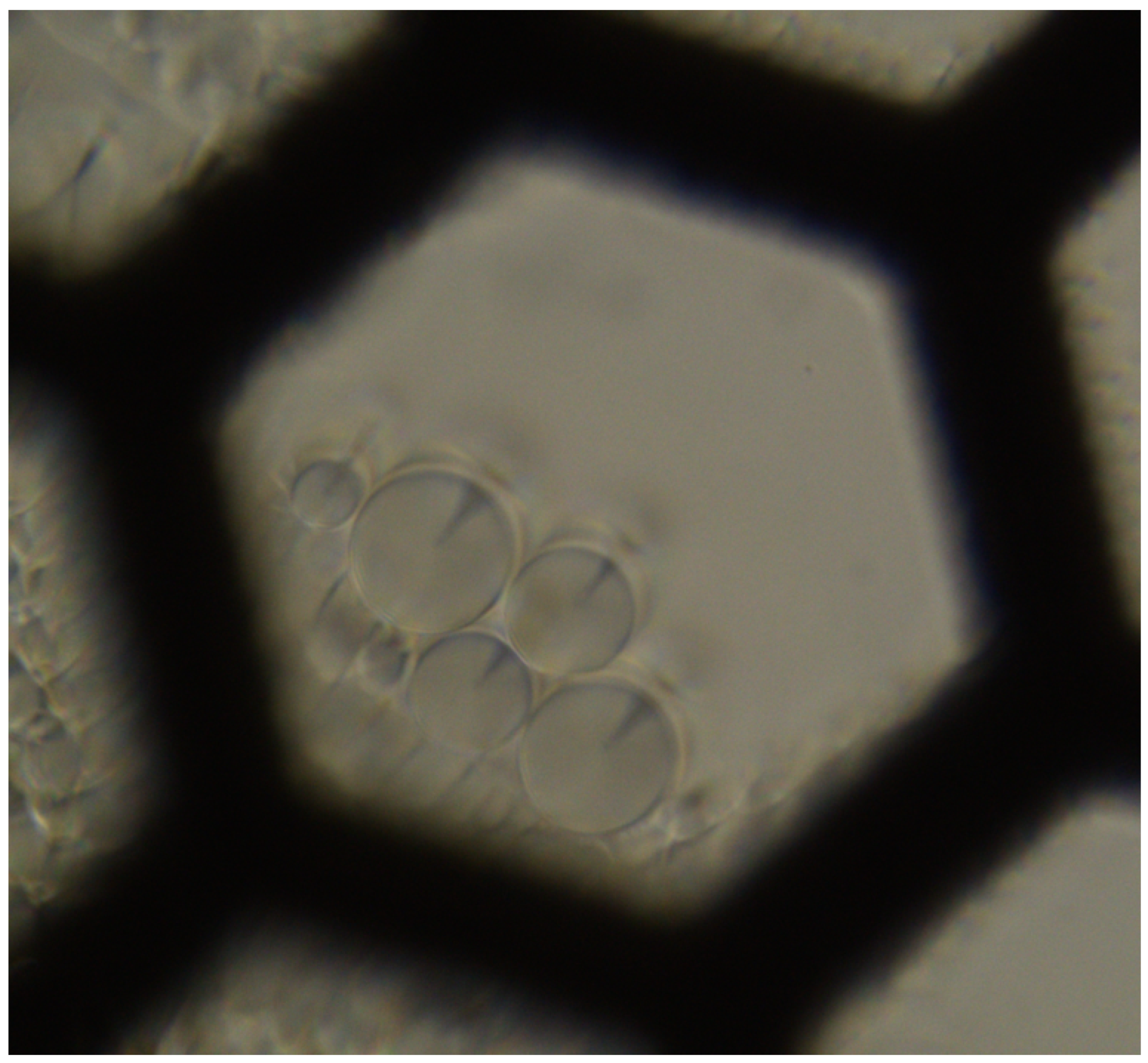 Materials 18 00711 g002