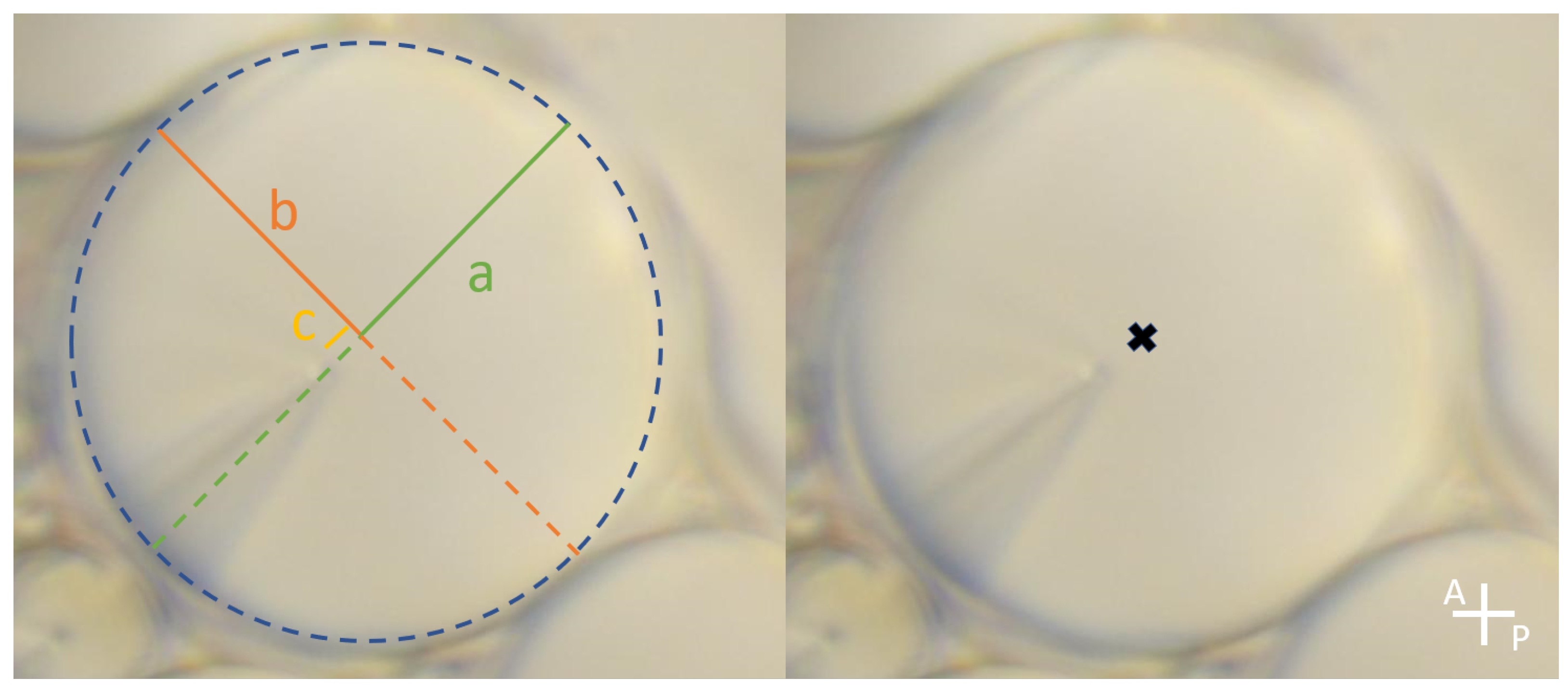 Materials 18 00711 g003