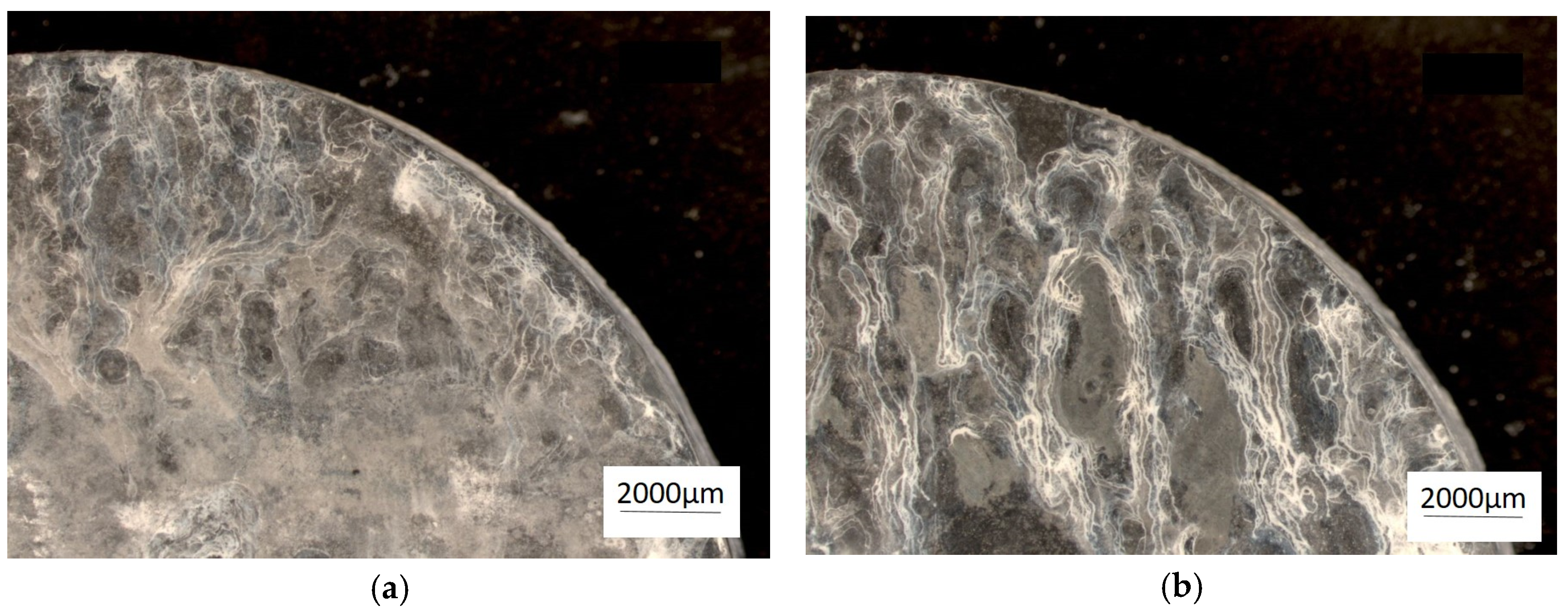 Materials 18 00797 g010