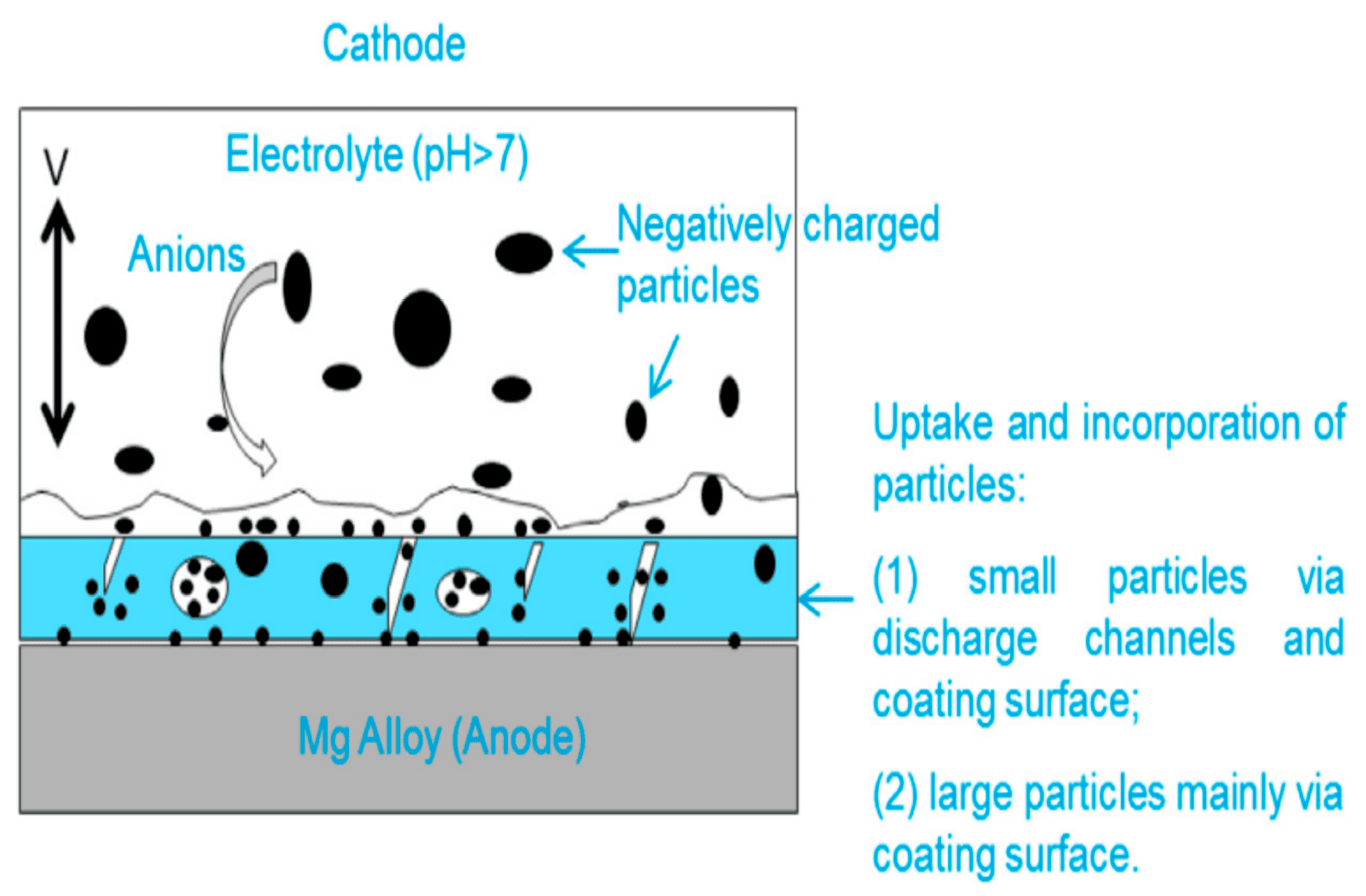 Materials 18 00822 g002 Materials 18 00822 g002