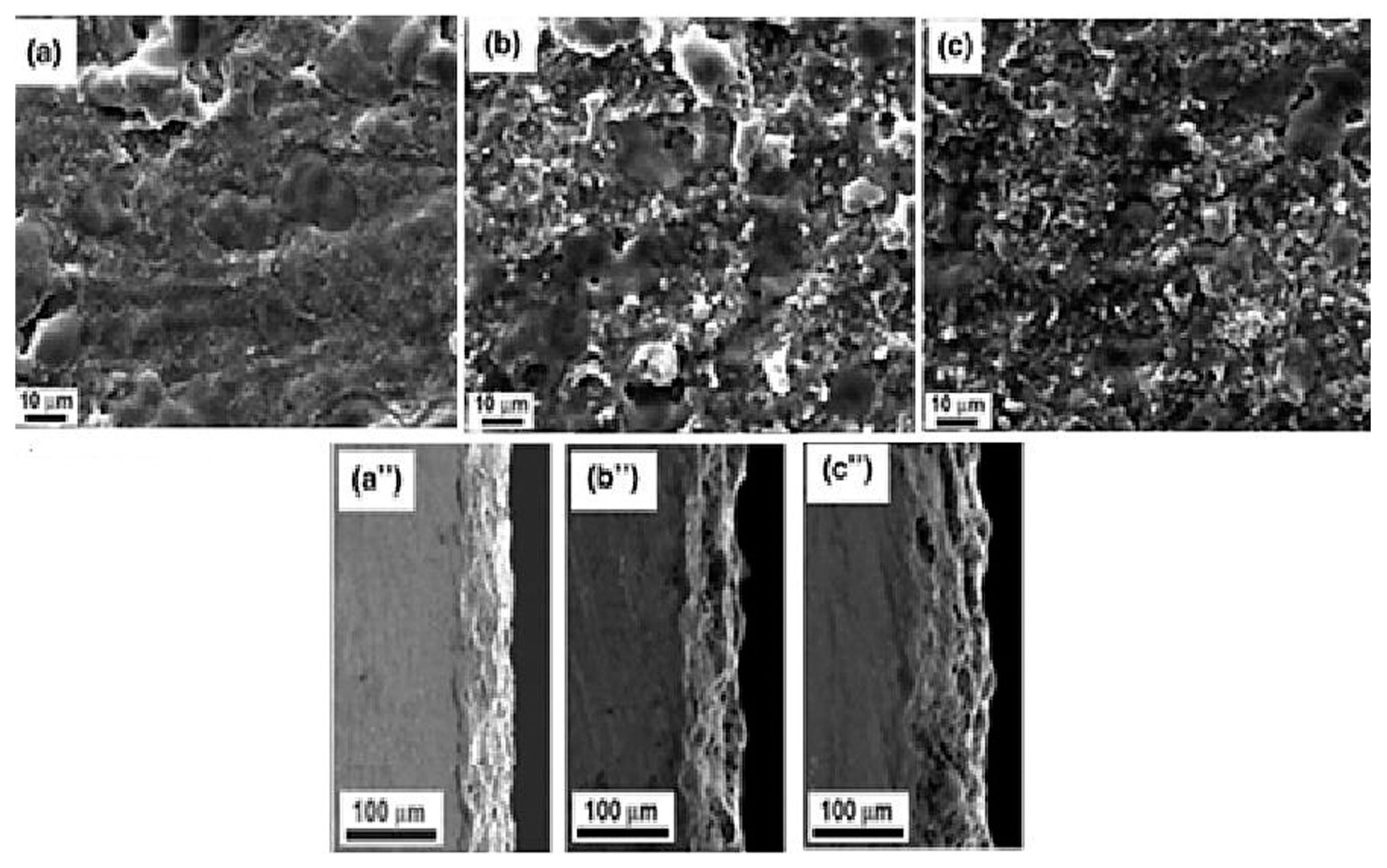 Materials 18 00822 g005 Materials 18 00822 g005