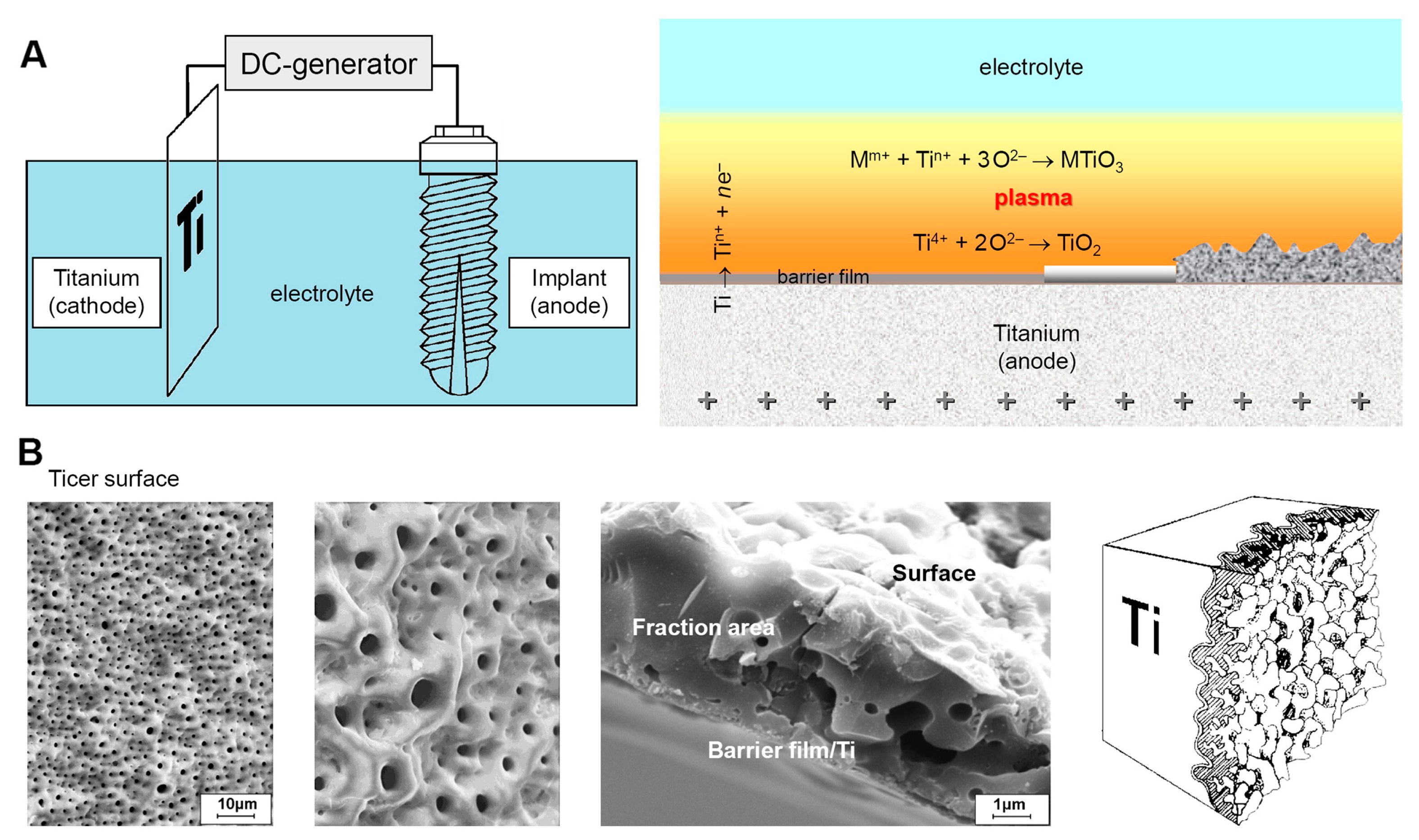 Materials 18 00822 g008 Materials 18 00822 g008