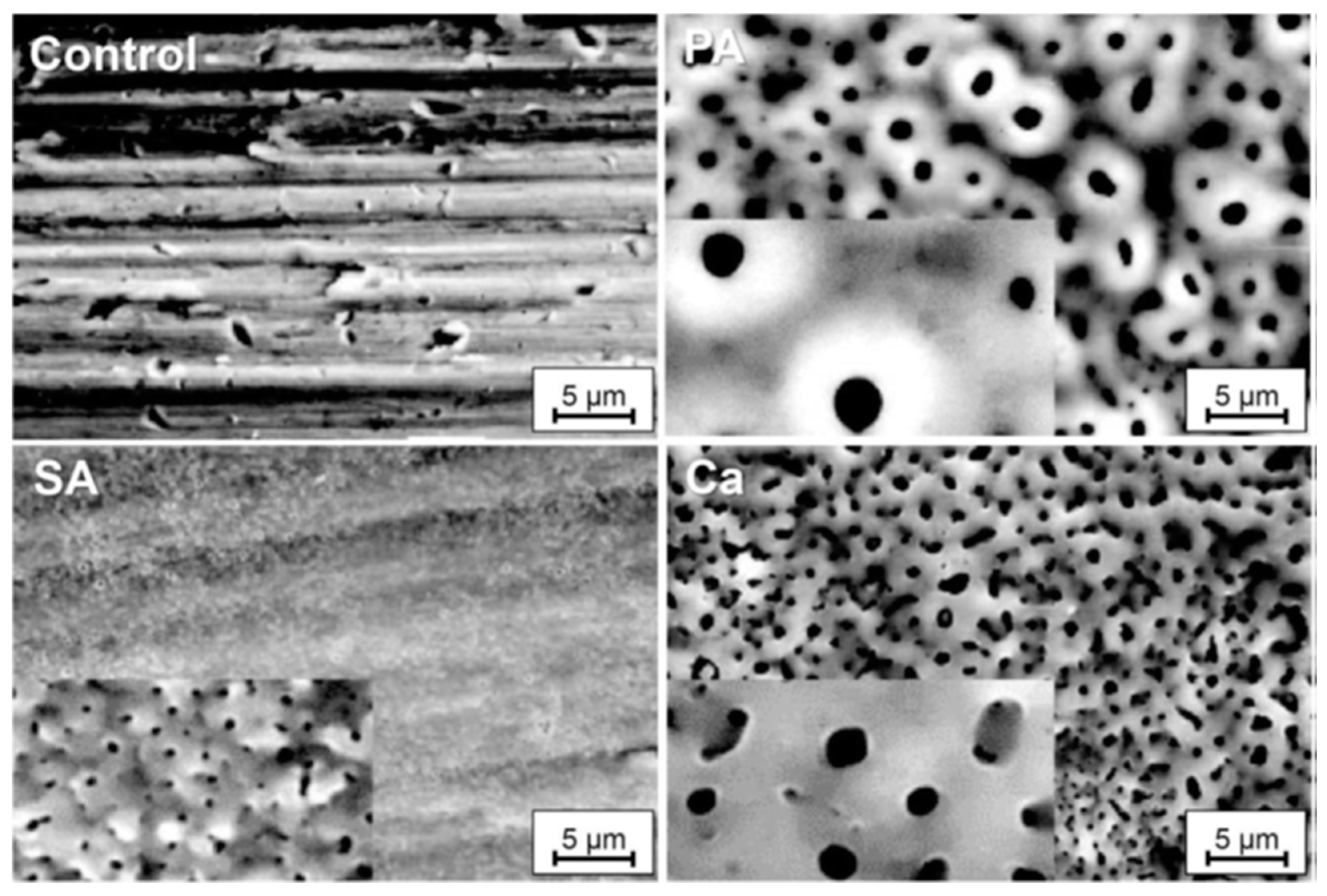 Materials 18 00822 g009 Materials 18 00822 g009