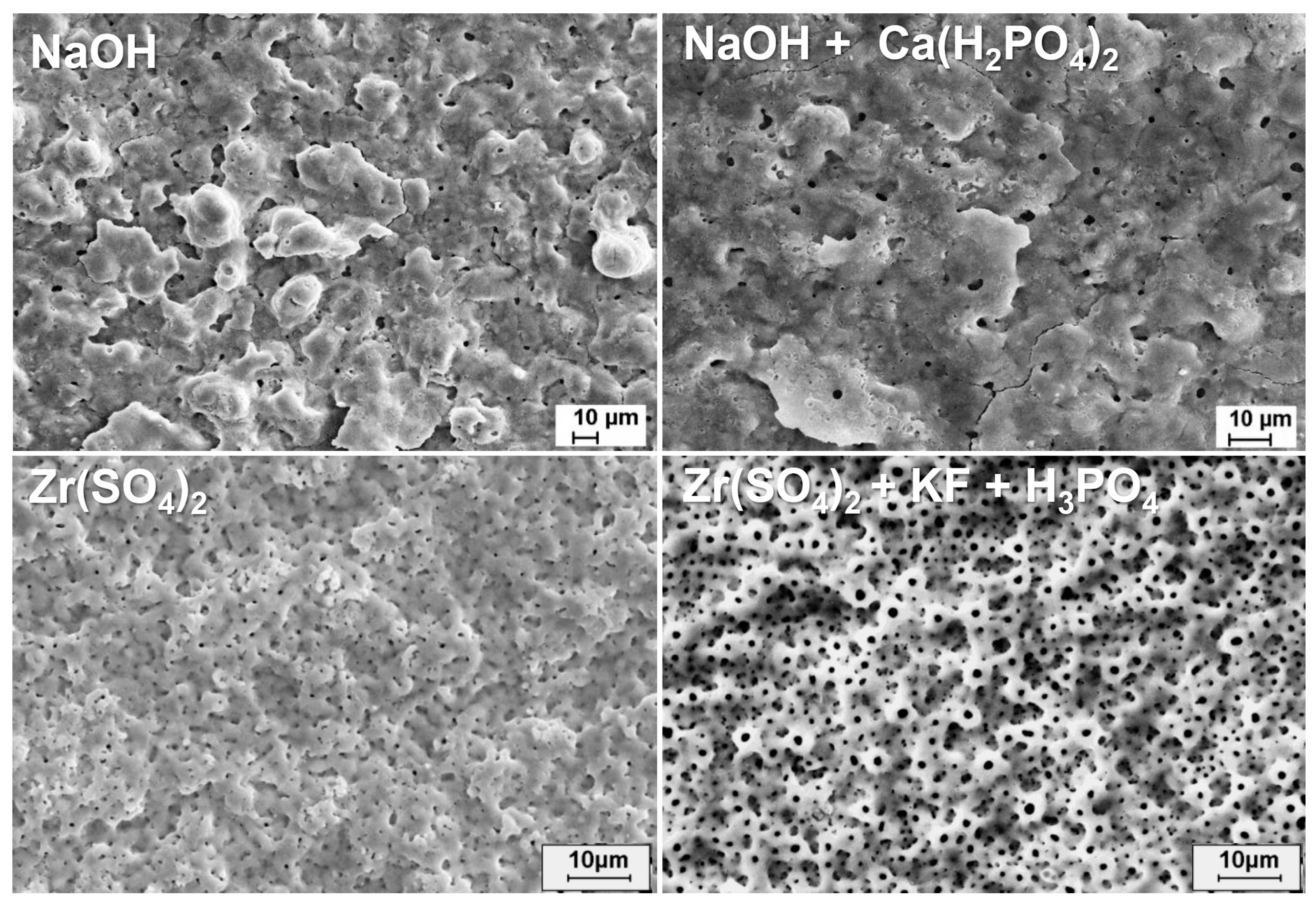 Materials 18 00822 g011 Materials 18 00822 g011